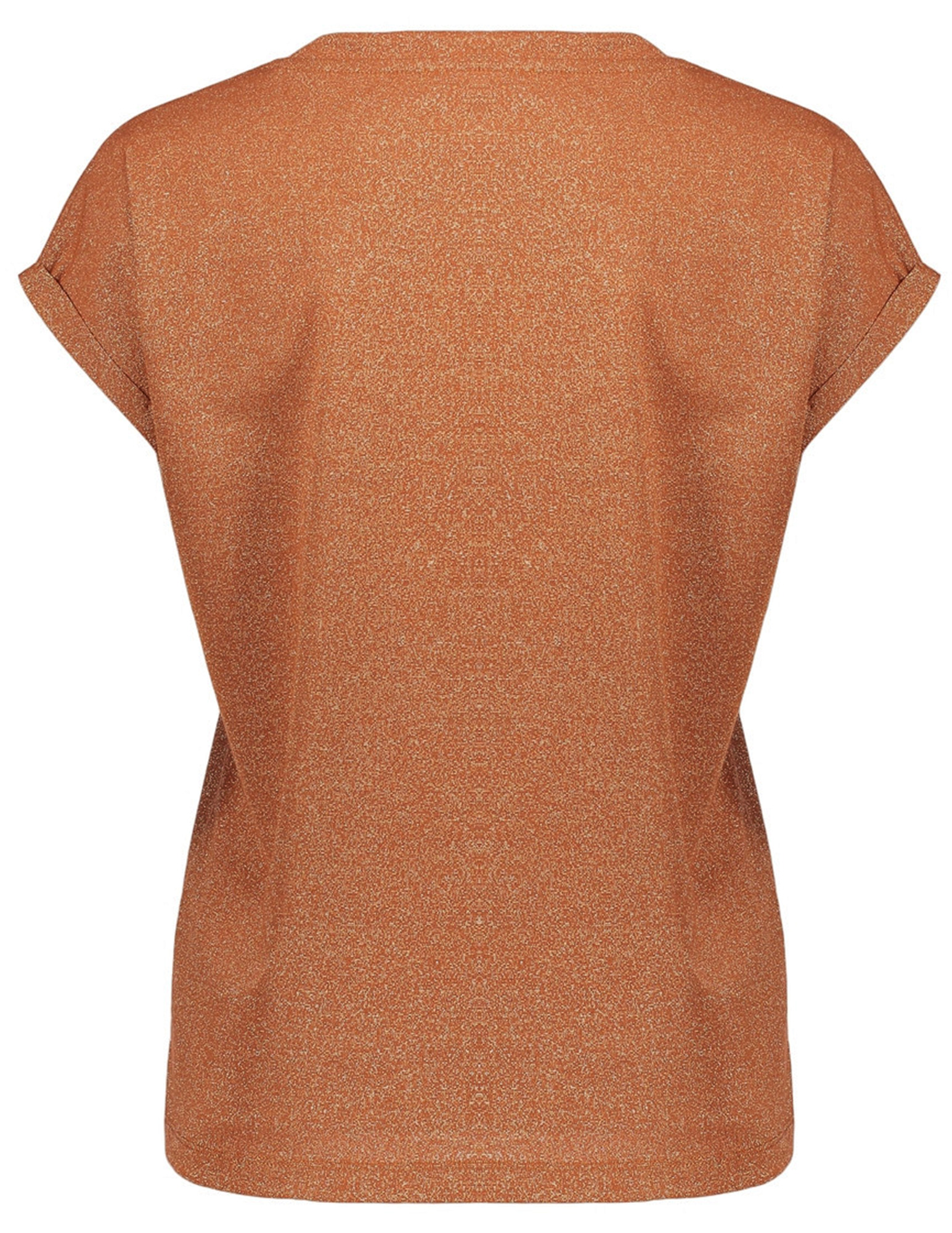 Geisha T-shirt 62351-24 Bruin