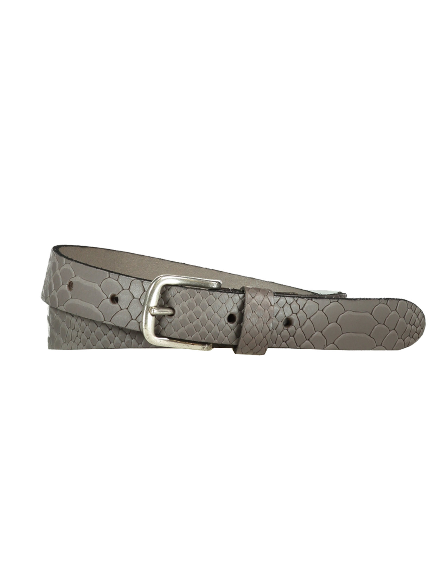 Legend Riem 25058 Grijs