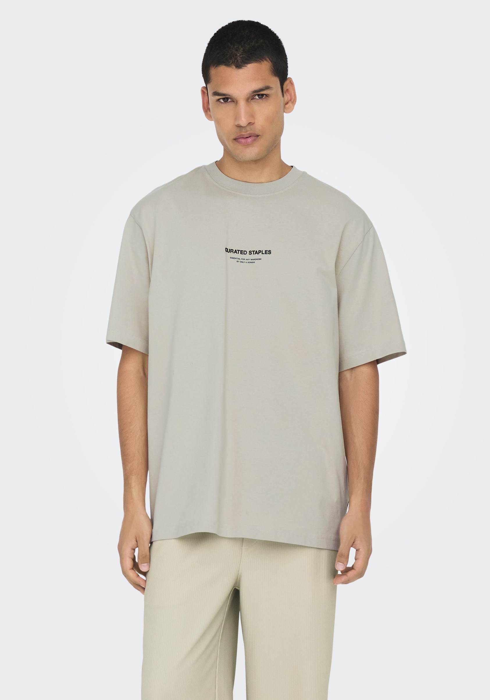 ONLY & SONS T-shirt Curated 22030925 Licht grijs