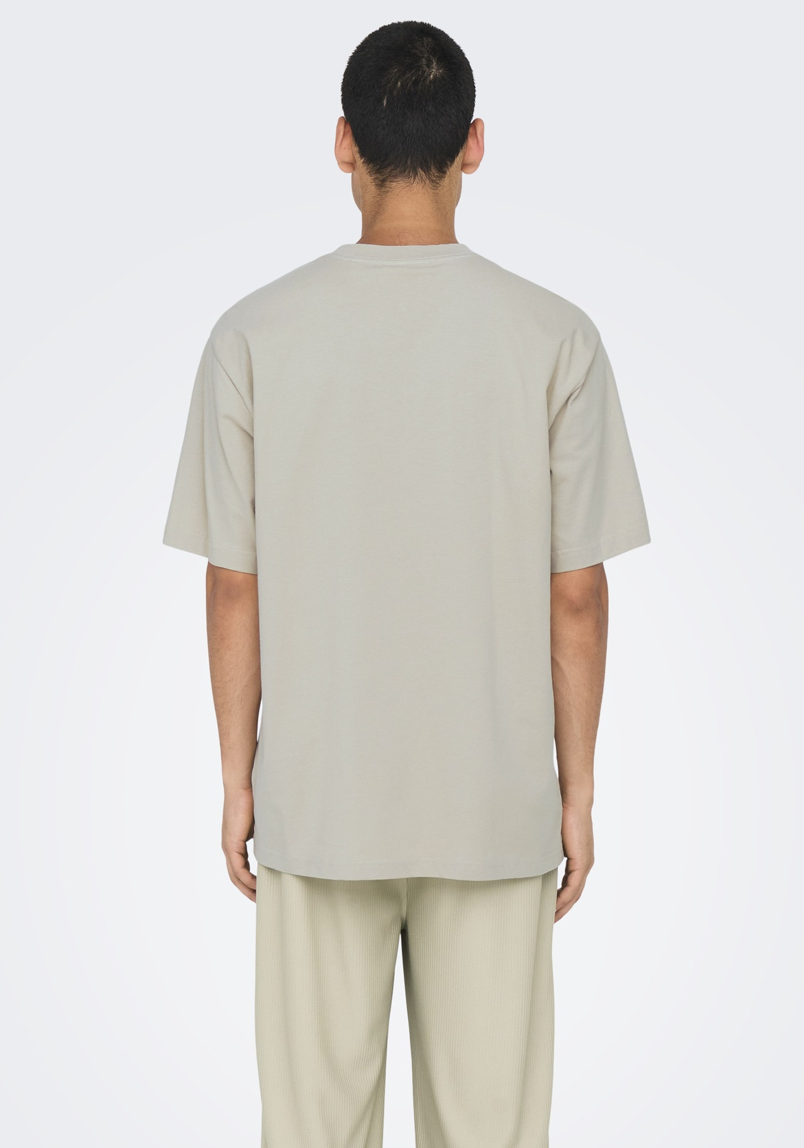 ONLY & SONS T-shirt Curated 22030925 Licht grijs