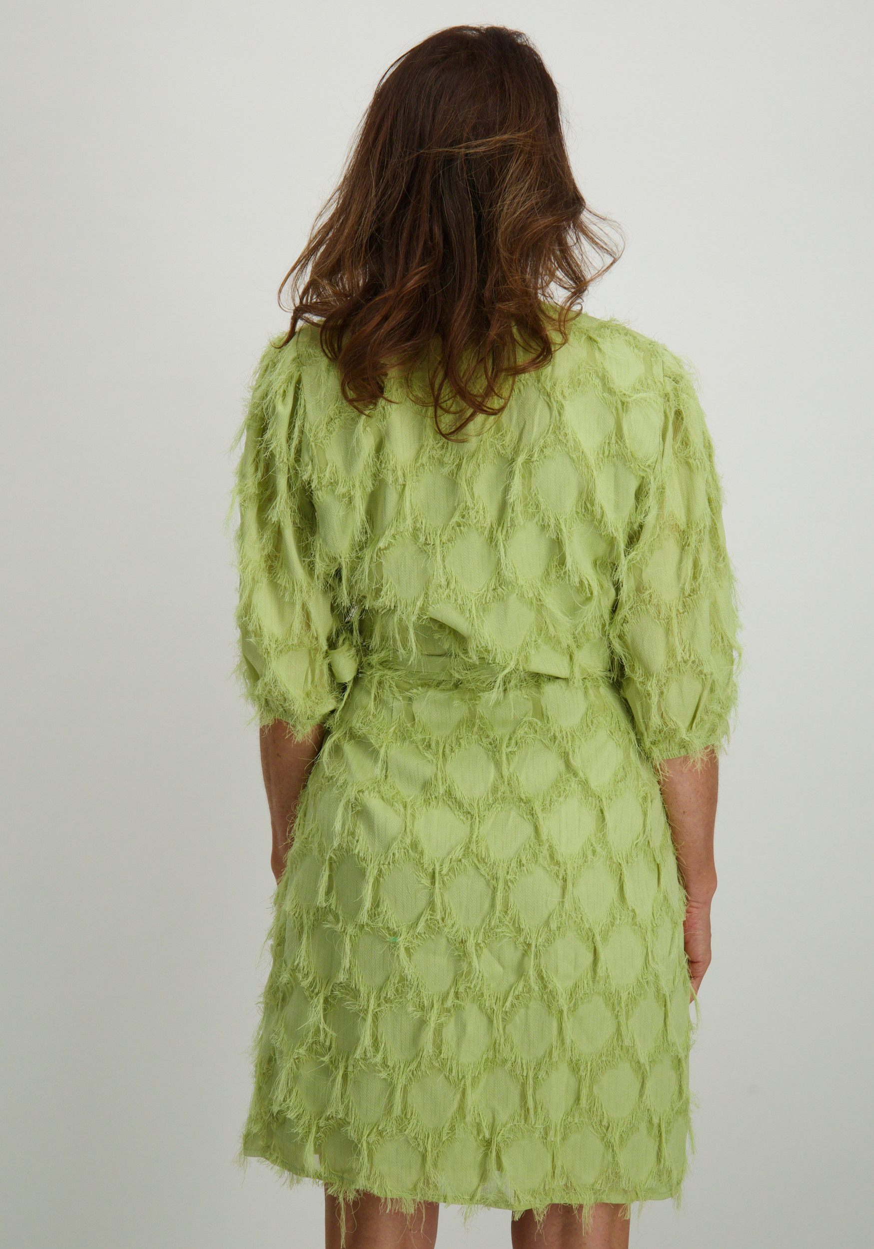 Aaiko BV Jurk FLORICA PES 482 Licht groen