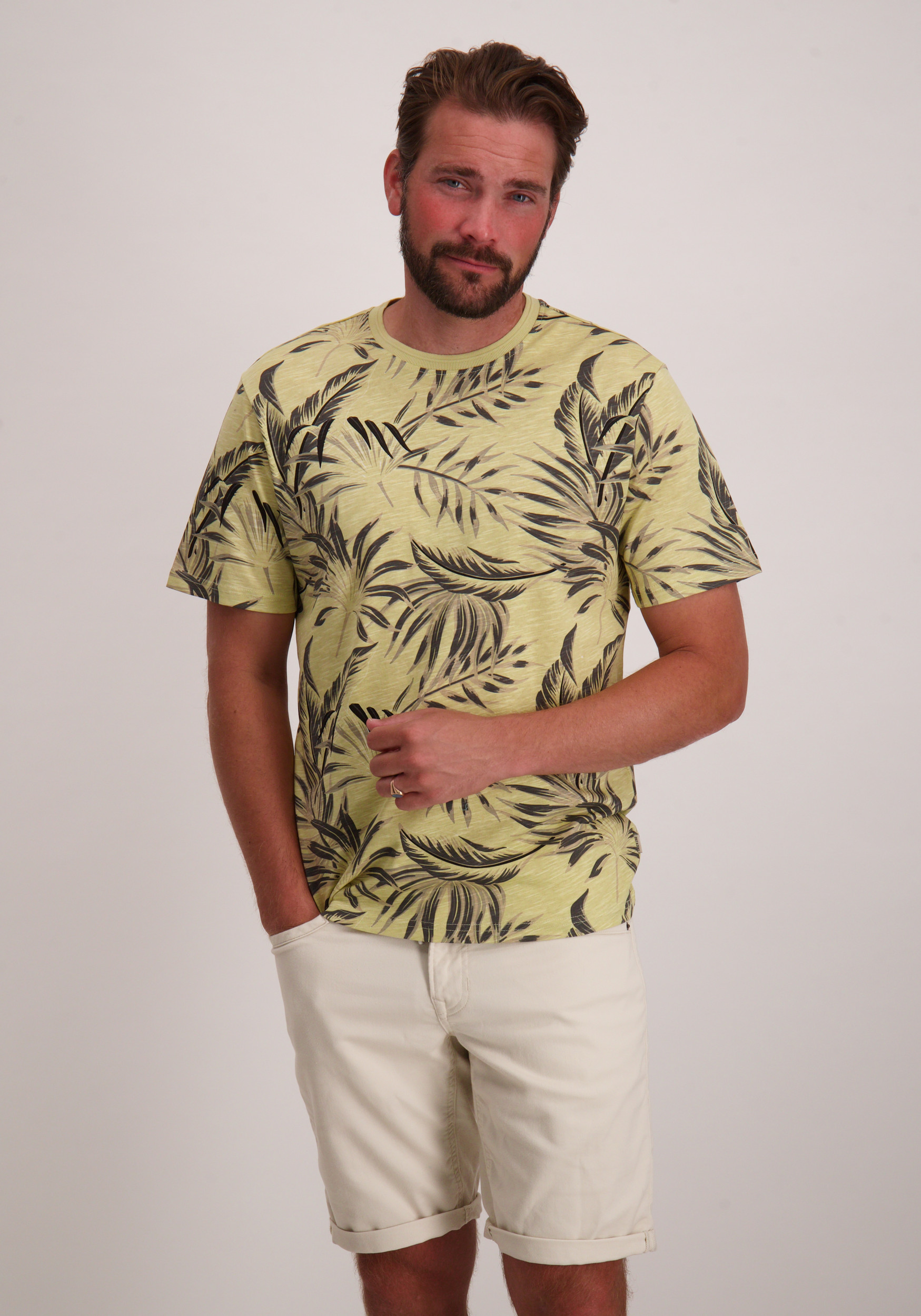 ONLY & SONS T-shirt Kash 22028689 Licht groen