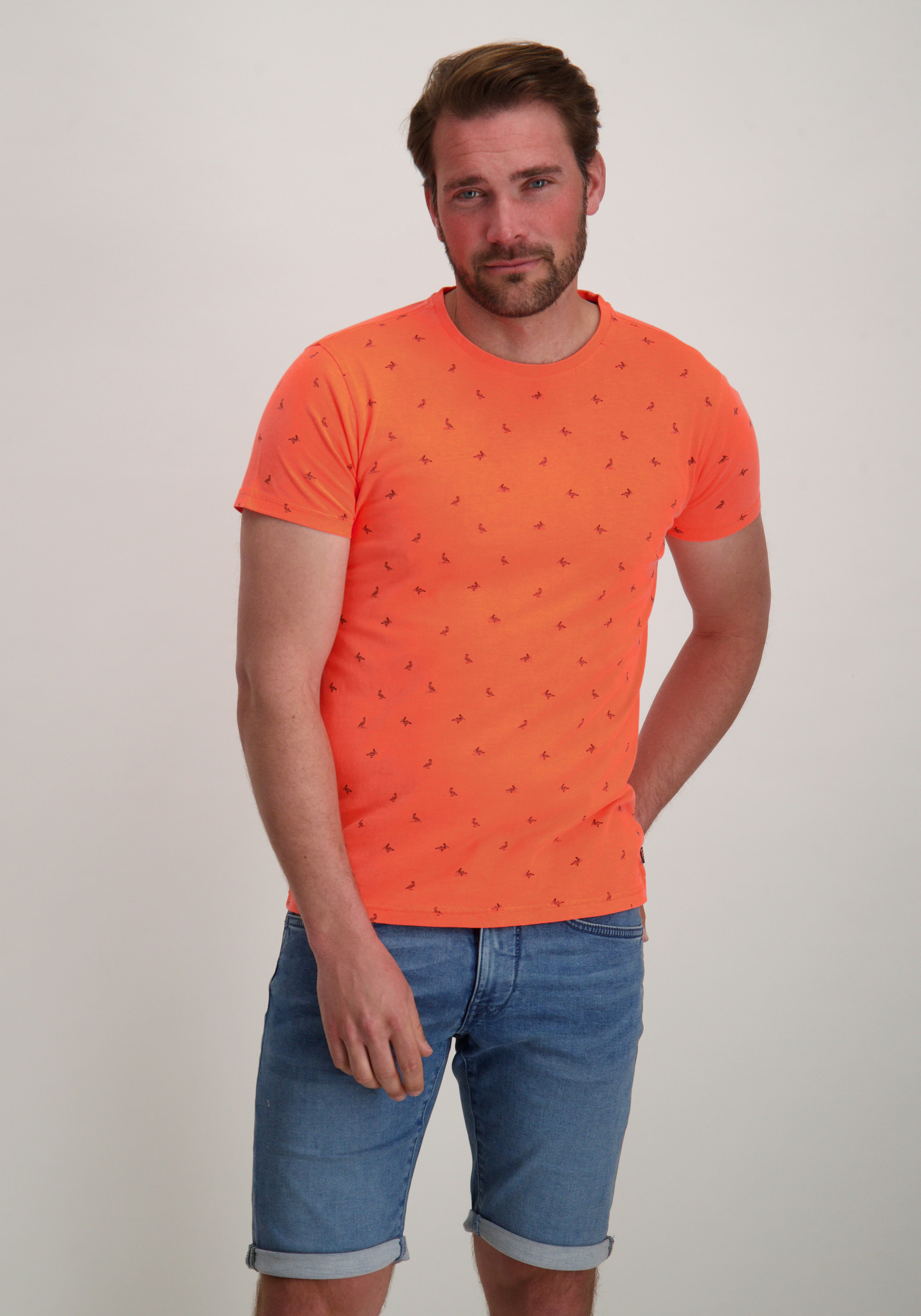 Petrol T-shirt met pelikaan print M-1050-TSR118 Koraal