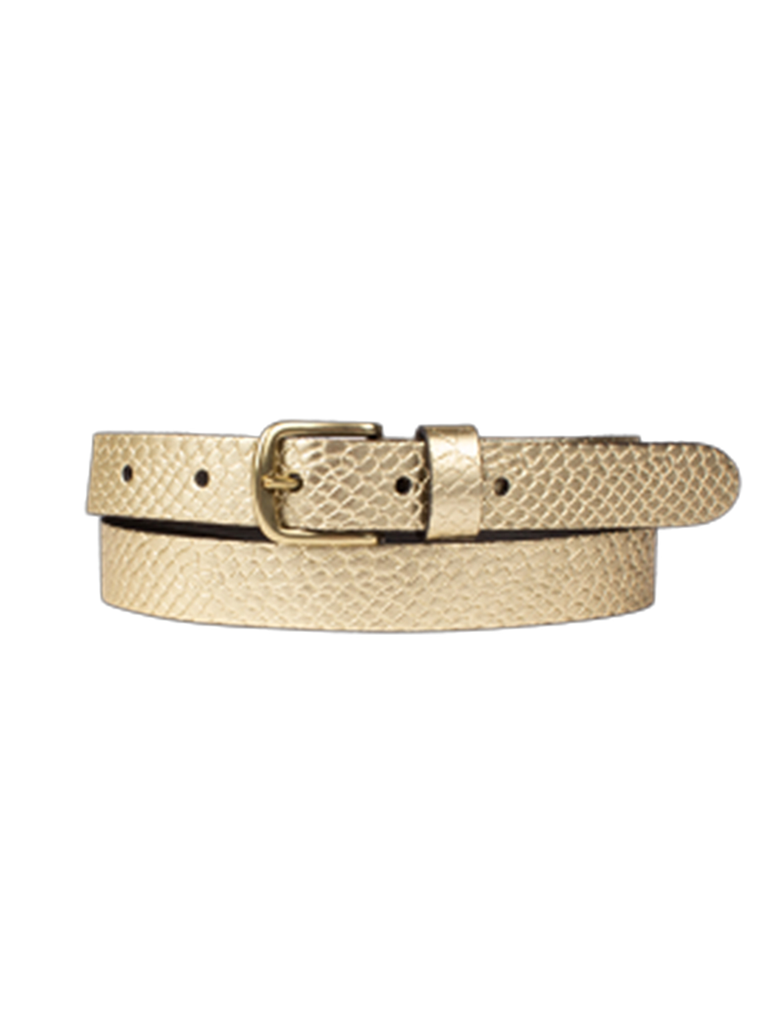 Legend Riem 25058 Goud