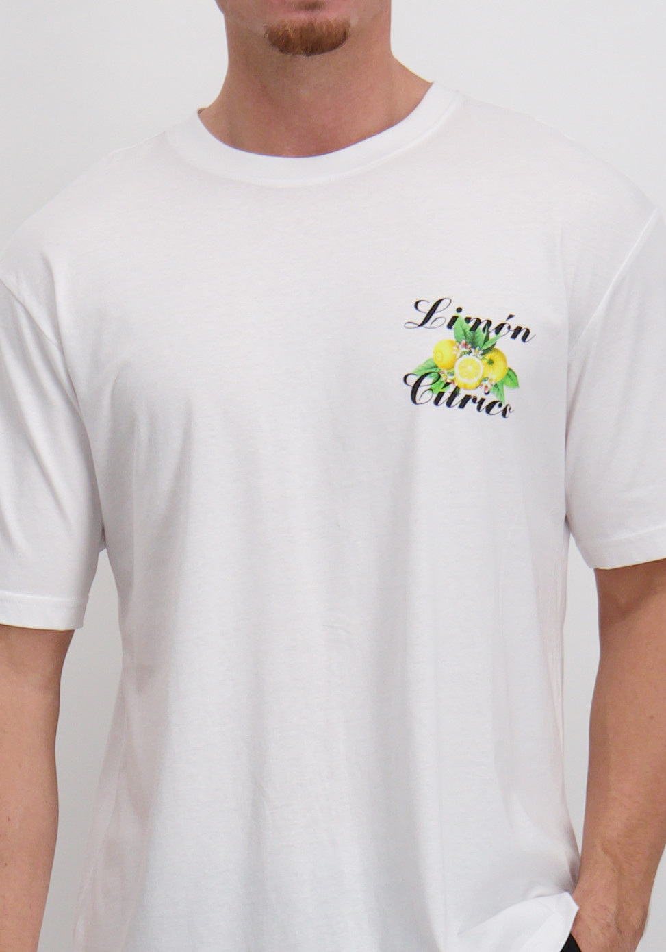 ONLY & SONS T-shirt Keane 22033620 Wolwit-ecru