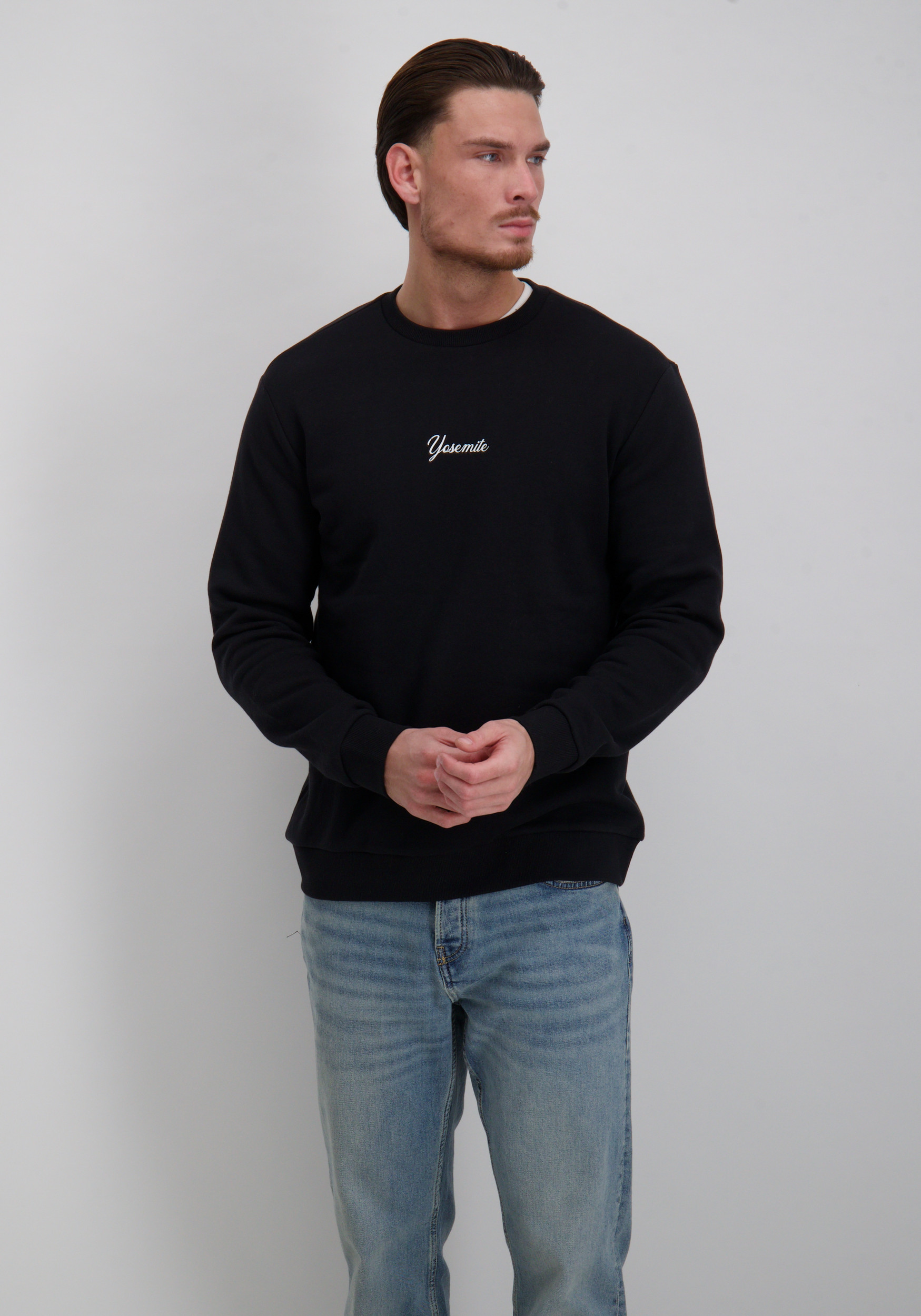ONLY & SONS Sweater Sceres ski 22037350 Zwart
