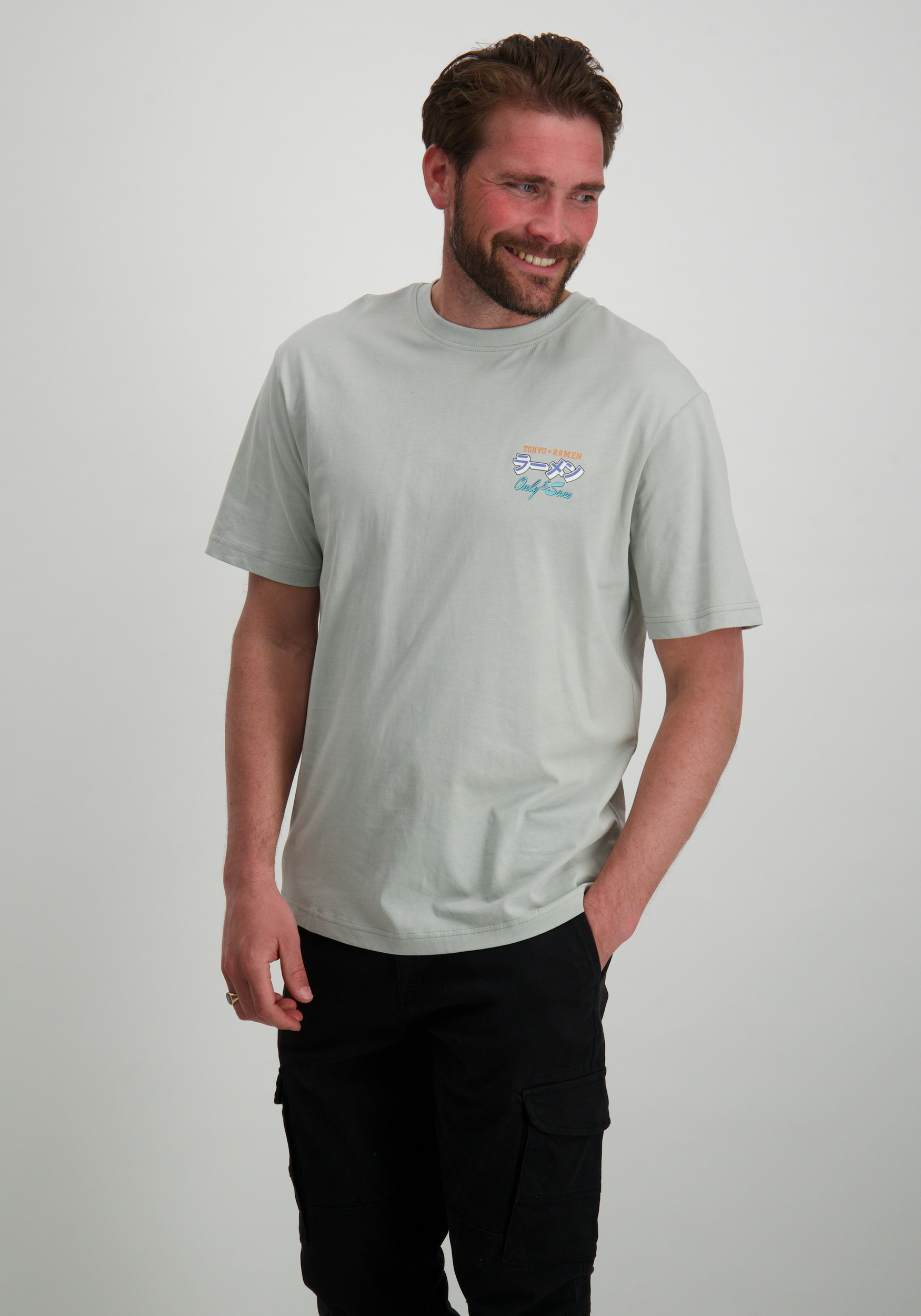 ONLY & SONS T-shirt Keane 22030973 Licht grijs