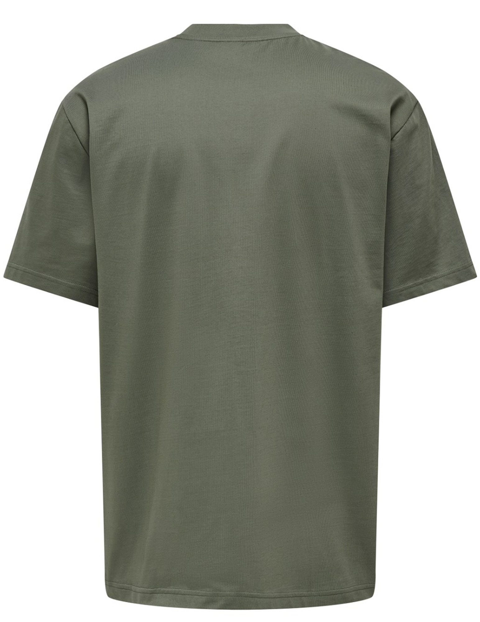 ONLY & SONS T-shirt Fred 22022532 Grijs