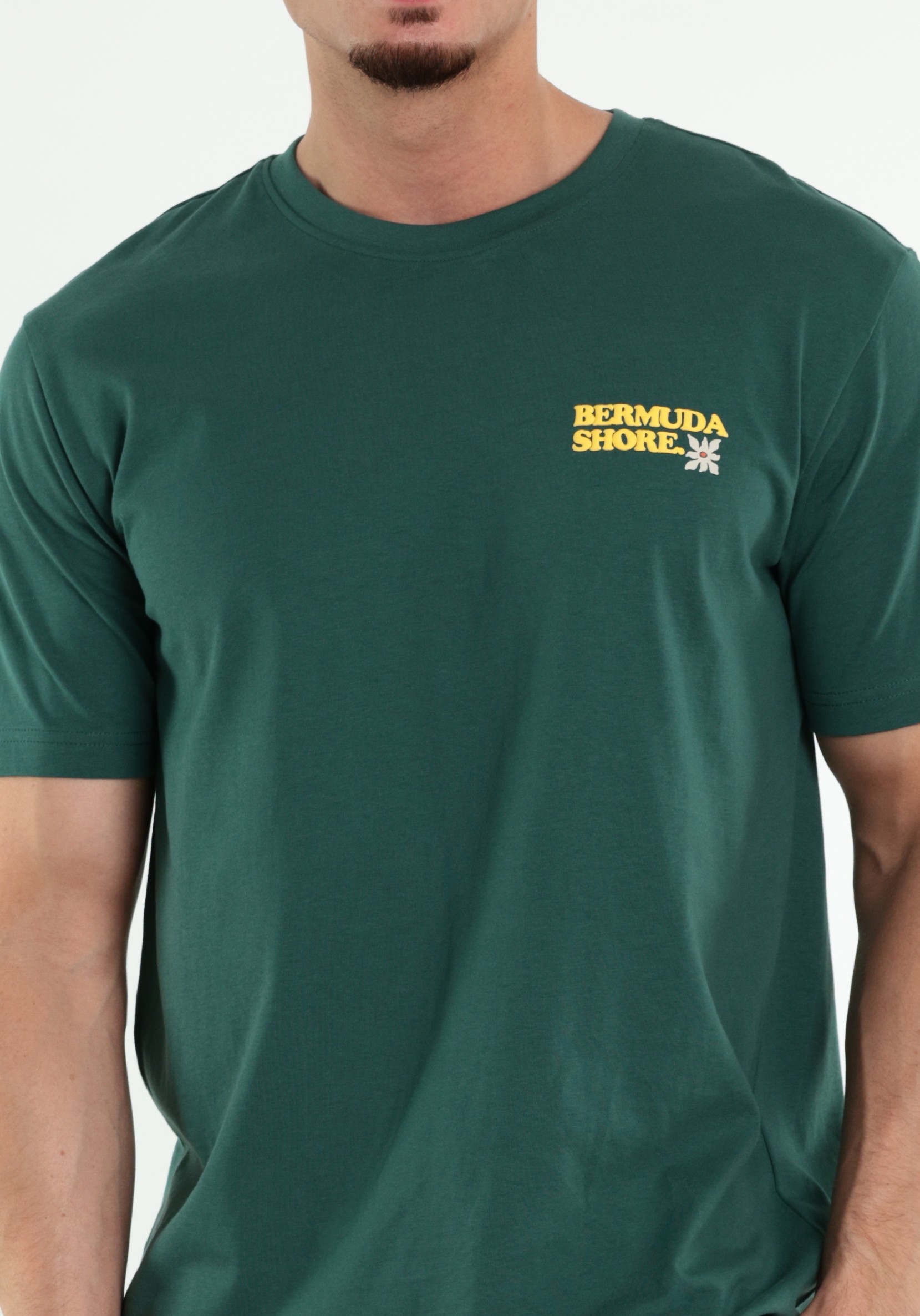 ONLY & SONS T-shirt Kiki 22038264 Groen