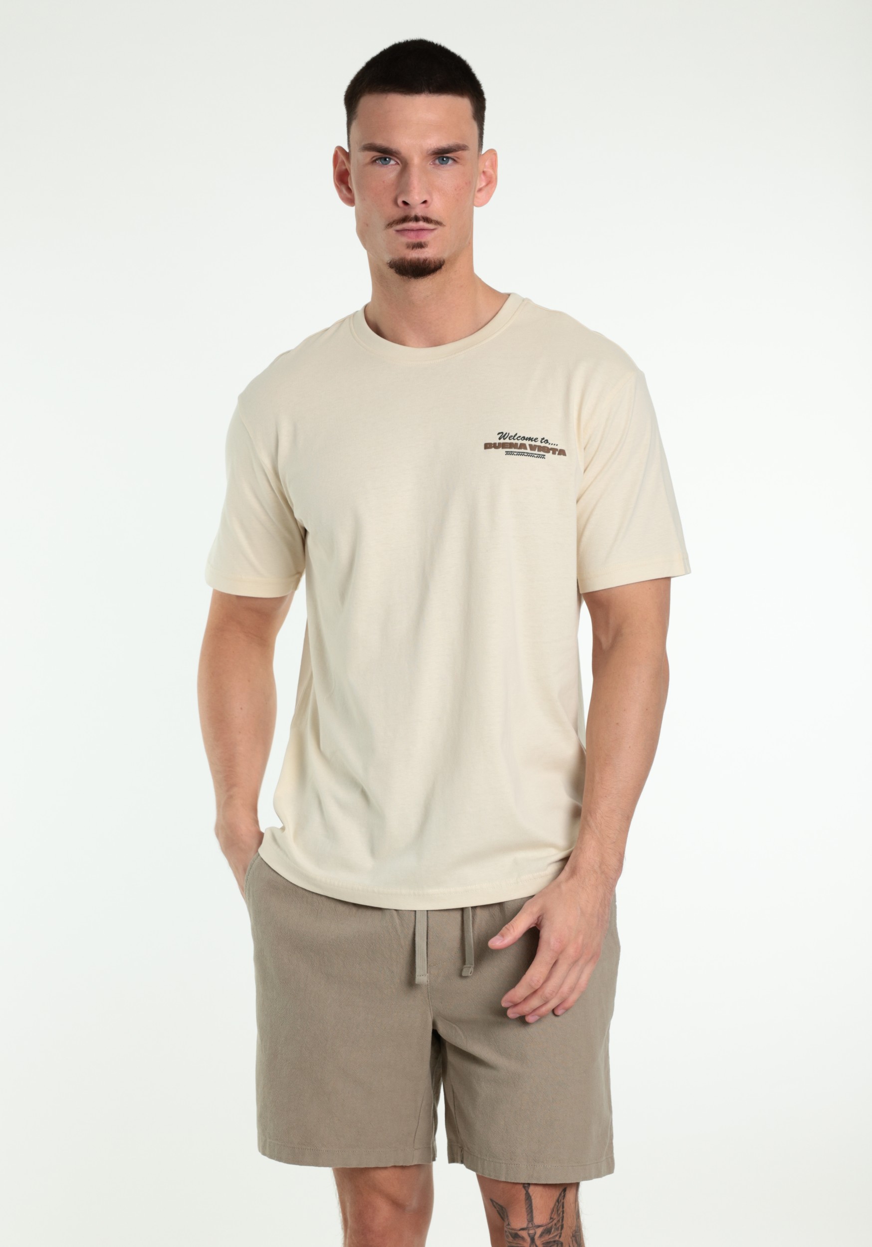 ONLY & SONS T-shirt Kiki 22038264 Ecru