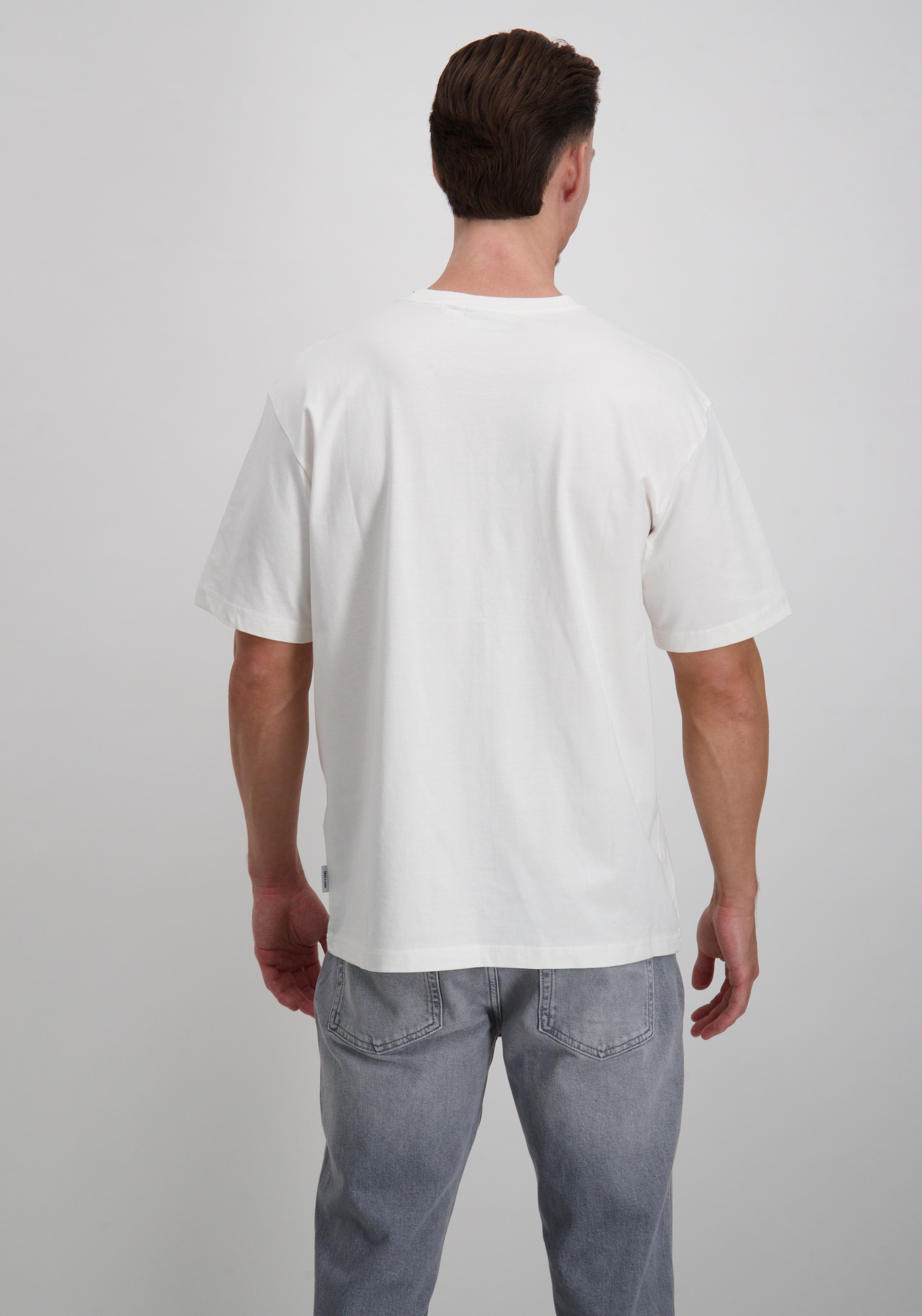 ONLY & SONS T-shirt Curated 22030925 Wit