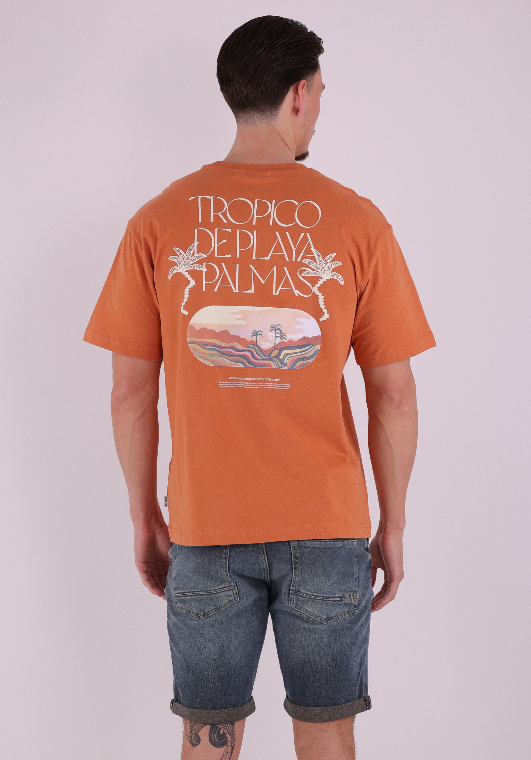 ONLY & SONS T-shirt Malik Tropico 22037482 Oranje