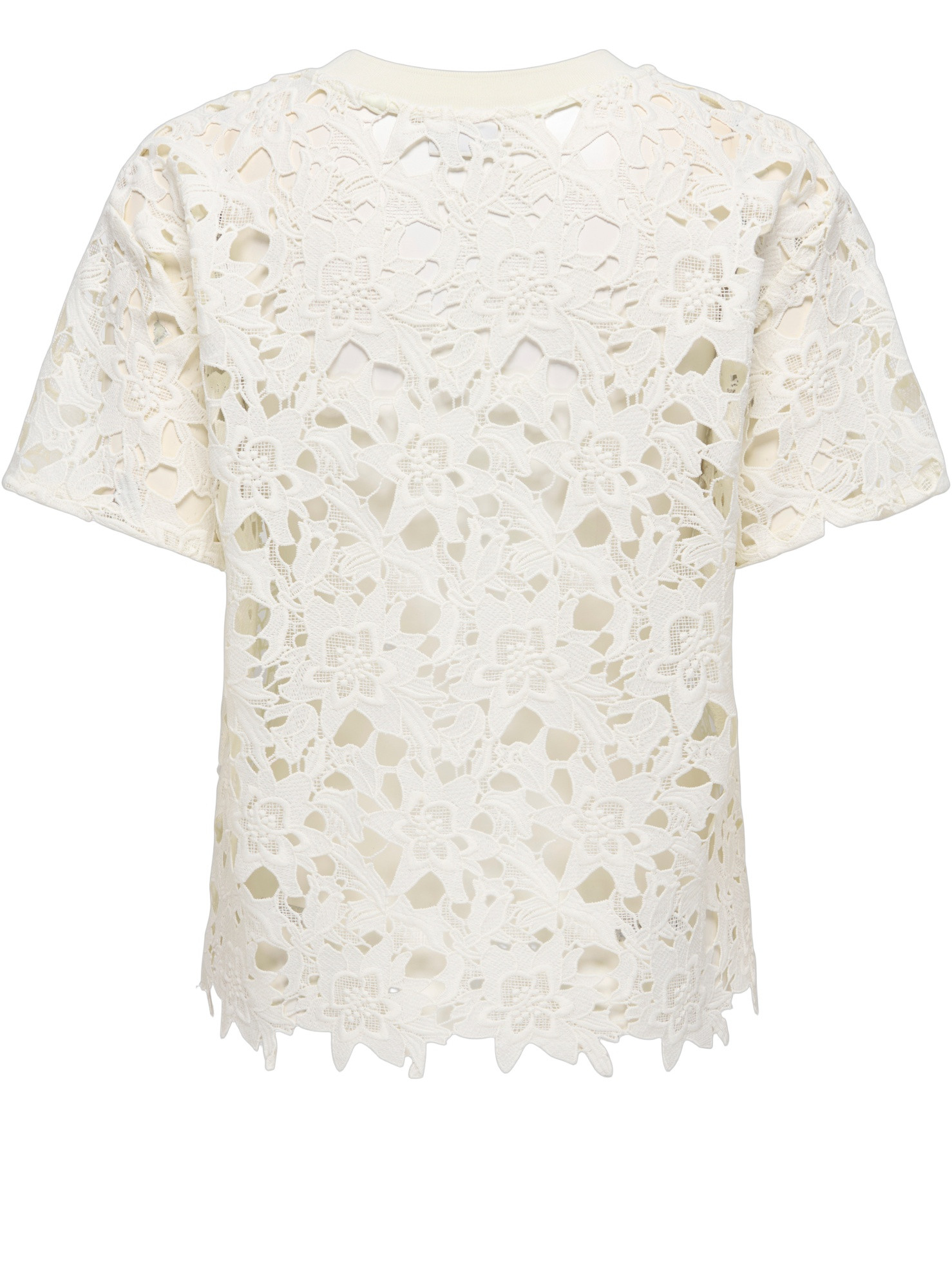 JDY Top Vanya 15365975 Wolwit-ecru