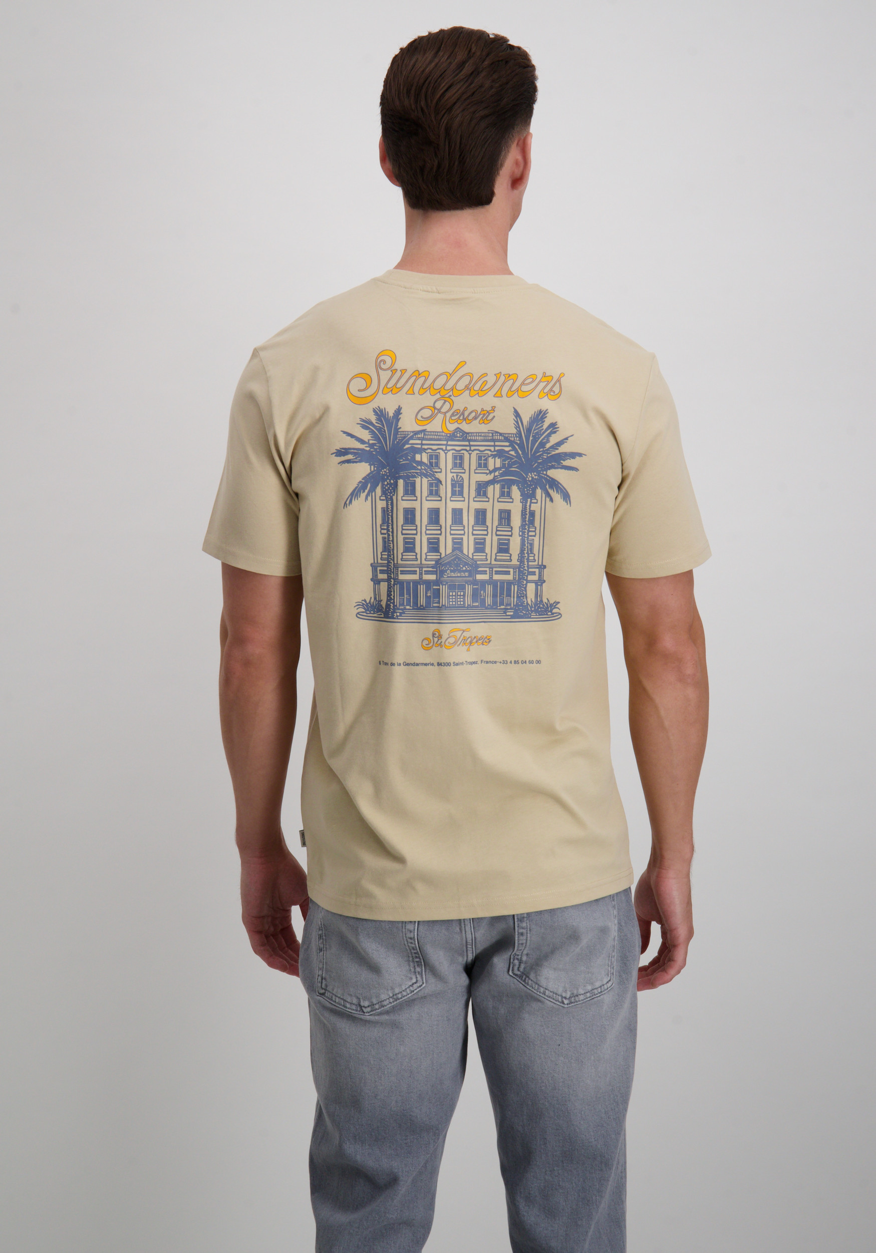 ONLY & SONS T-shirt Manuel 22034450 Beige