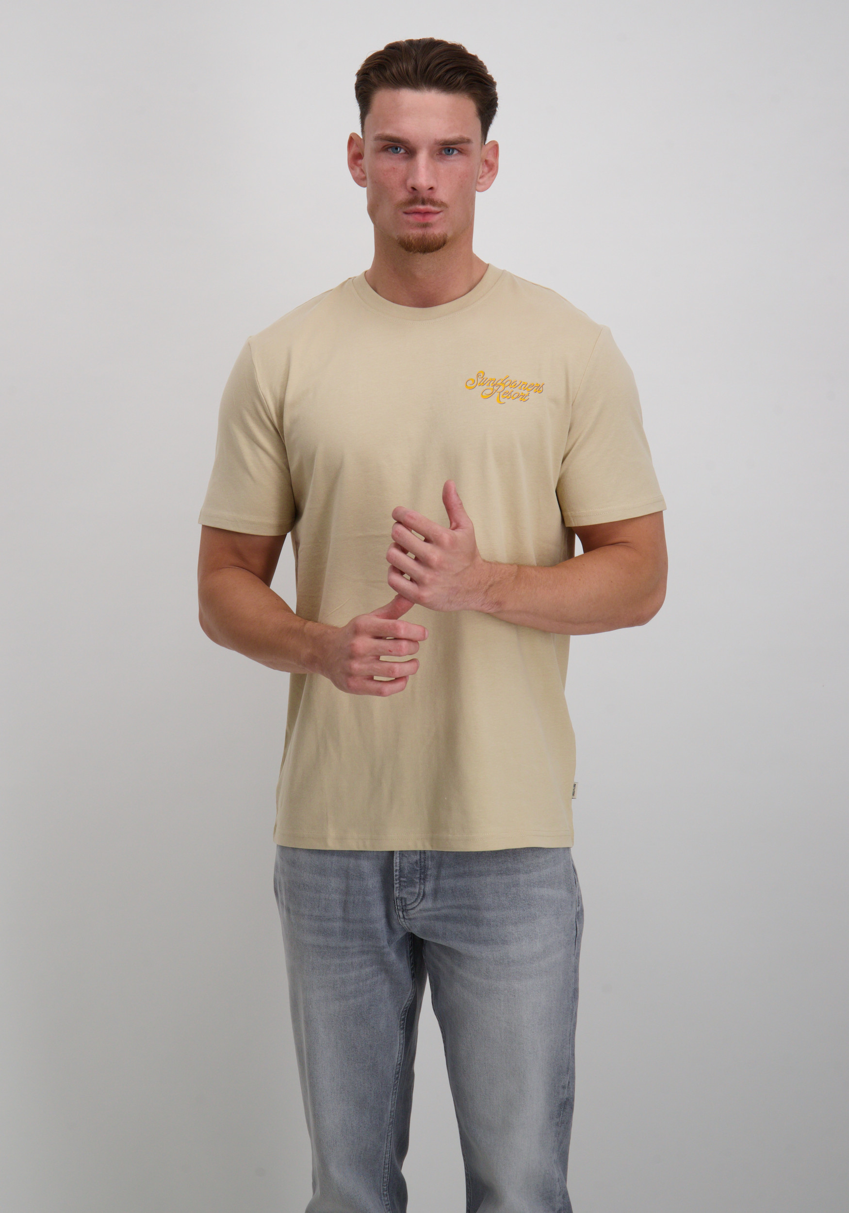 ONLY & SONS T-shirt Manuel 22034450 Beige