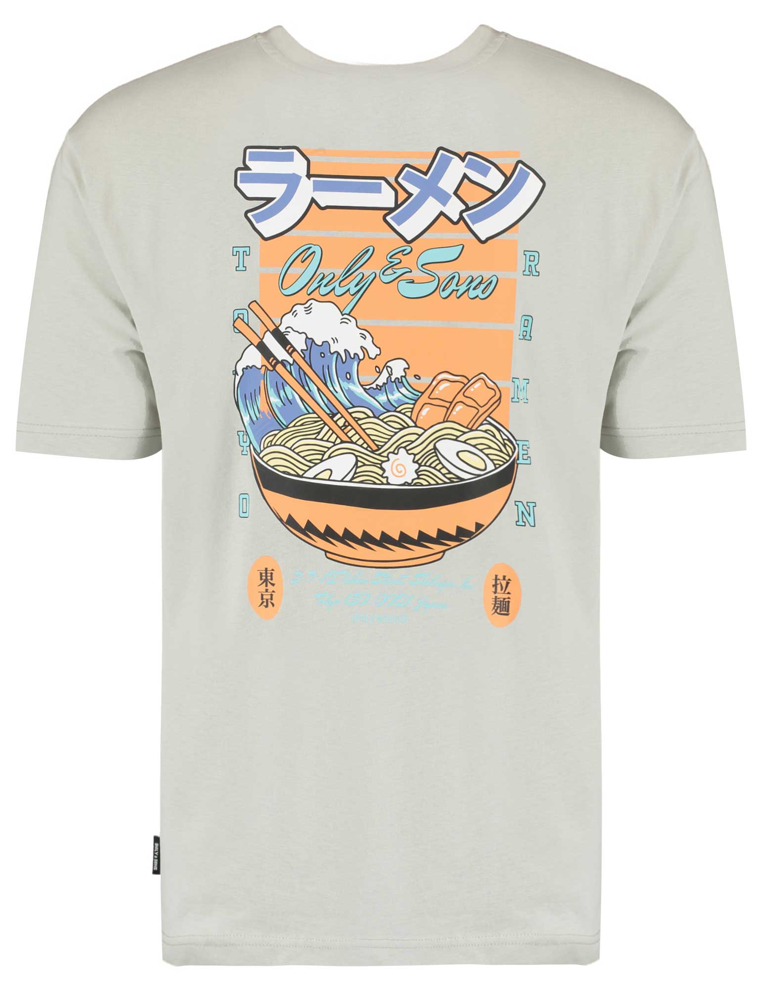 ONLY & SONS T-shirt Keane 22030973 Licht grijs