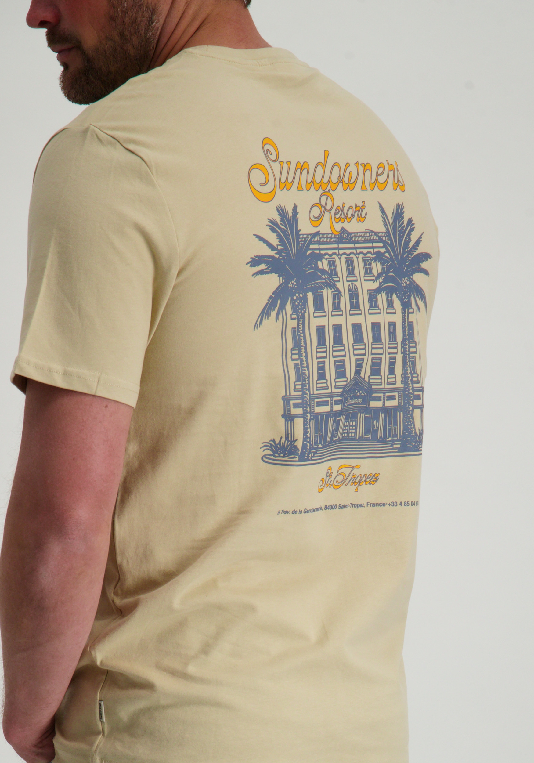 ONLY & SONS T-shirt Manuel 22035268 Beige