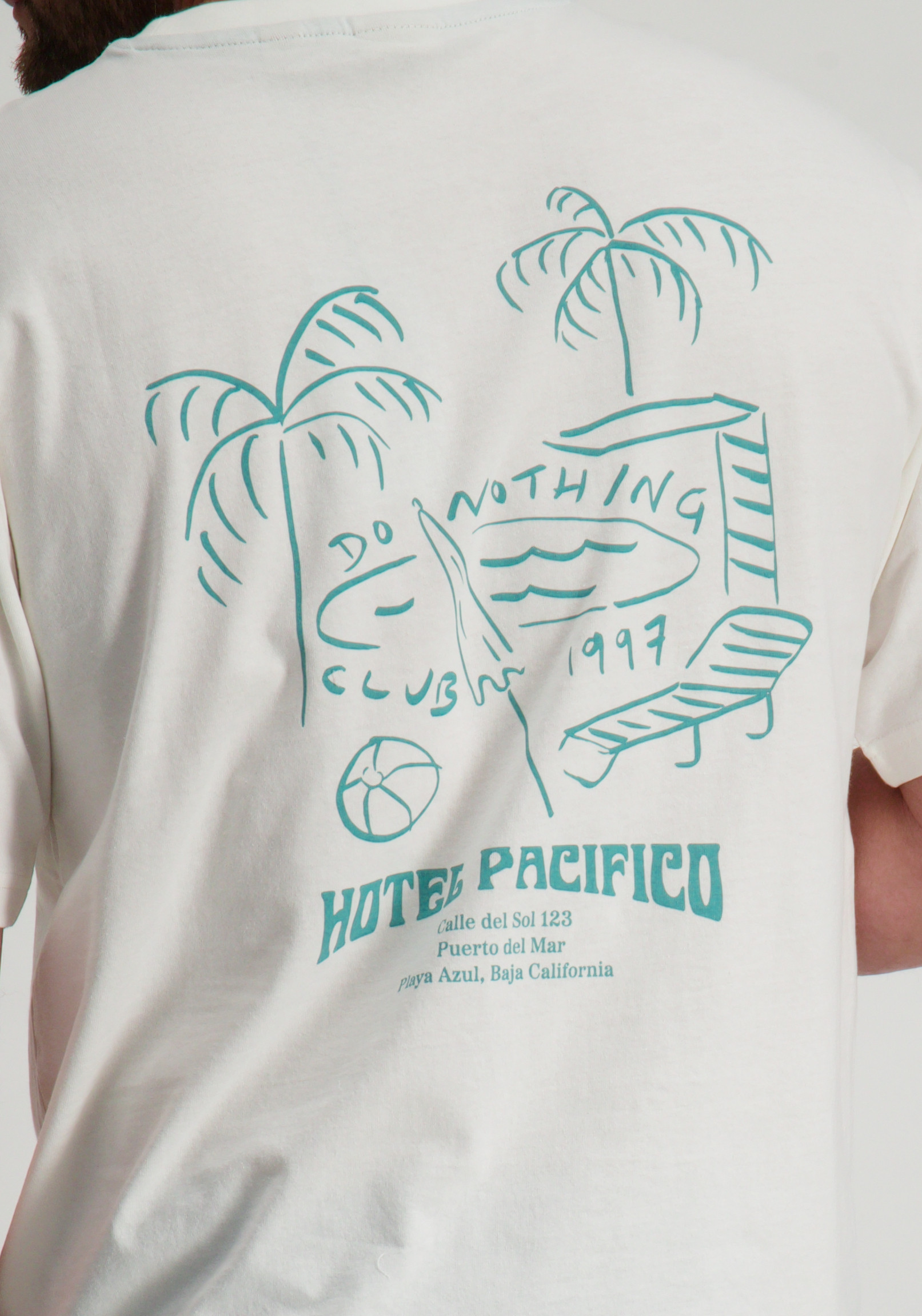 ONLY & SONS T-shirt Milo 22035271 Wolwit-ecru