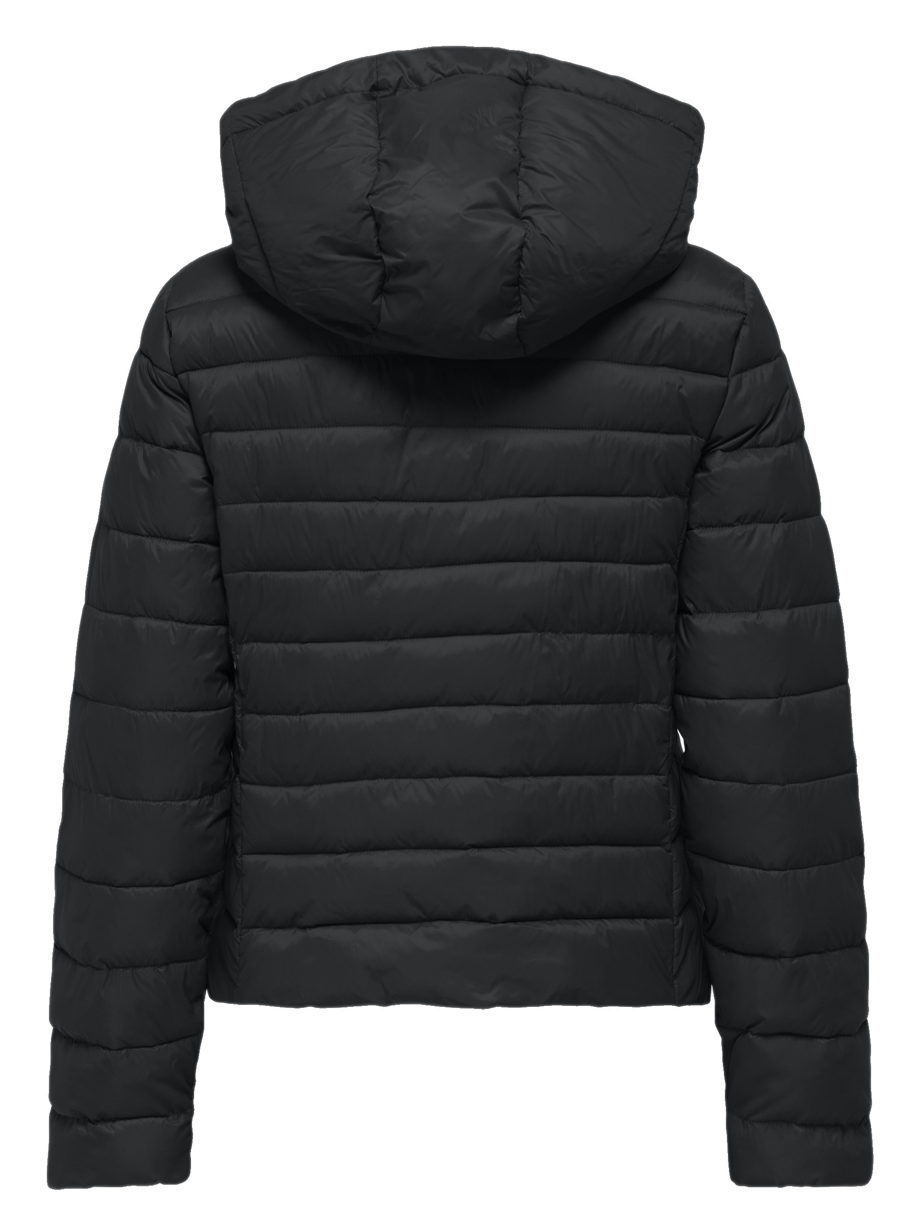 Only Gewatteerde jas Tahia 15352020 Zwart