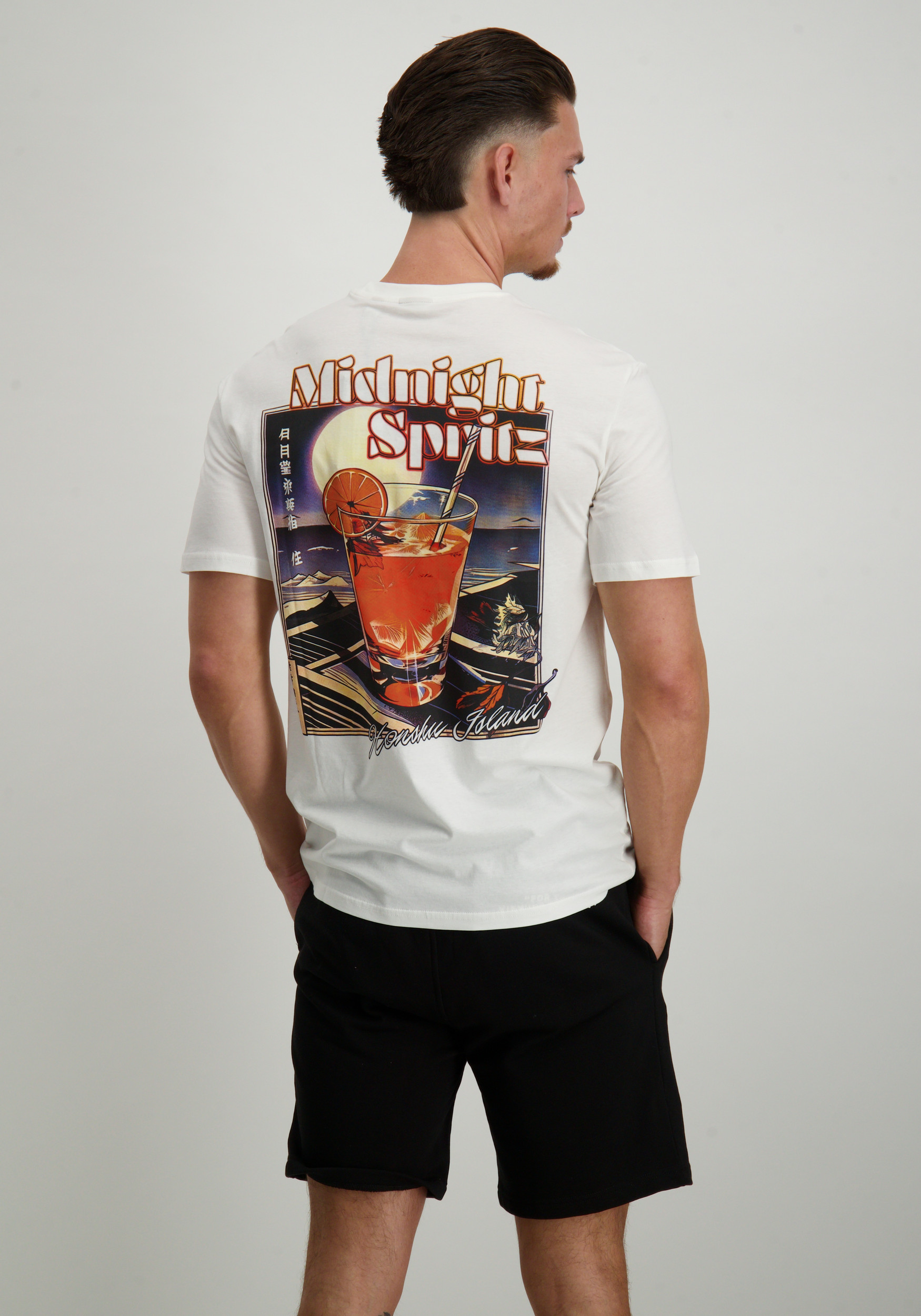 ONLY & SONS T-shirt Chris 22034333 Wit