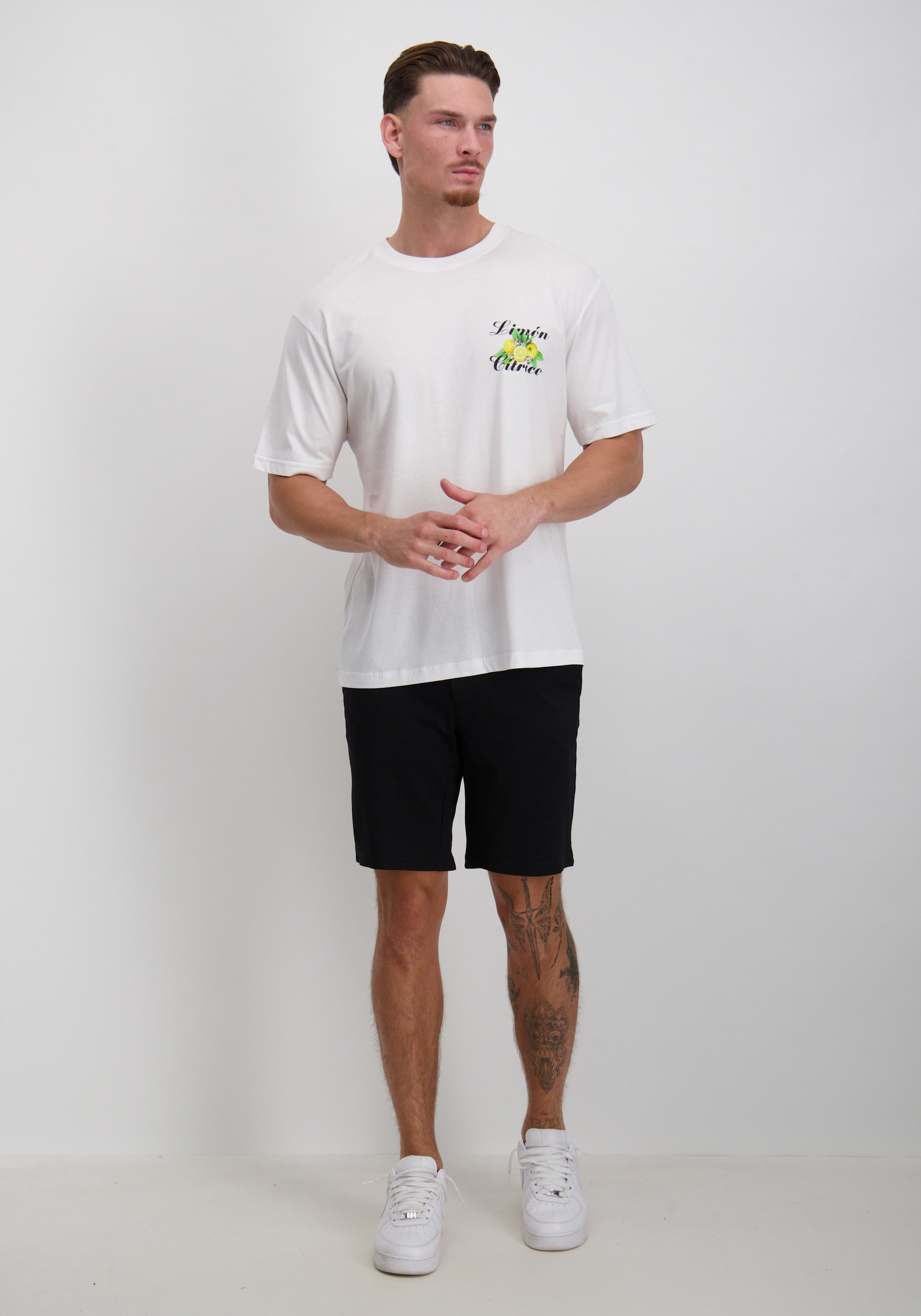 ONLY & SONS T-shirt Keane 22033620 Wolwit-ecru