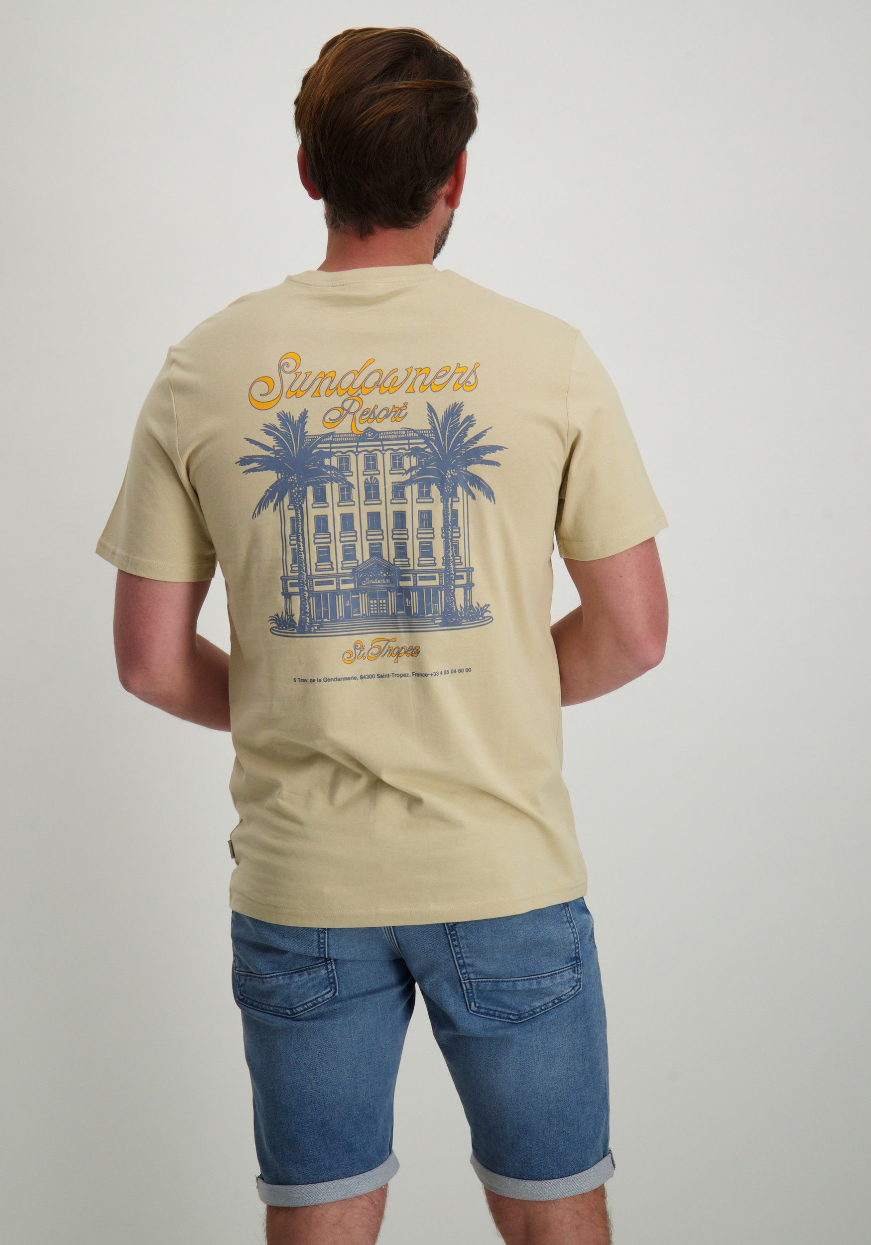 ONLY & SONS T-shirt Manuel 22035268 Beige