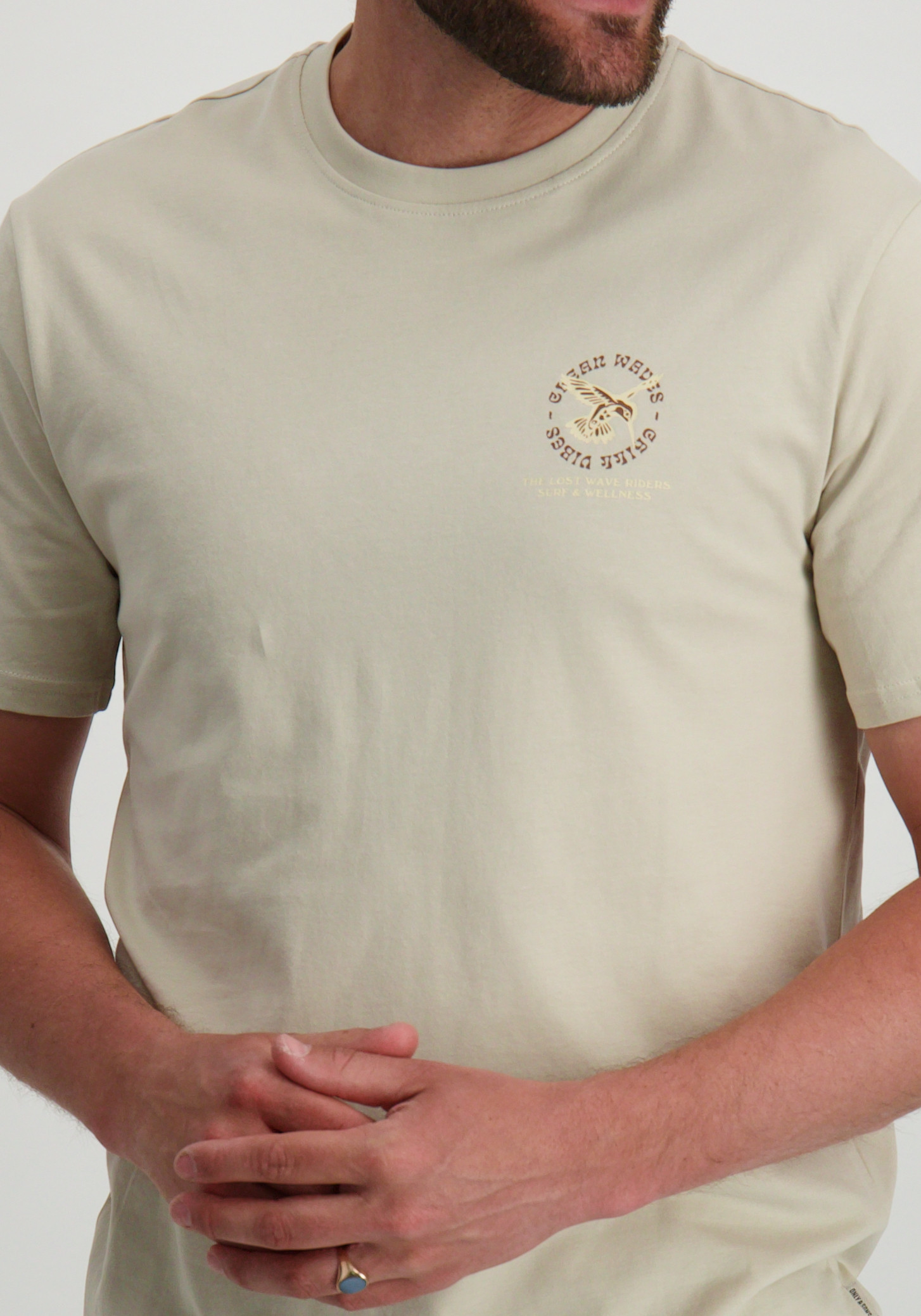 ONLY & SONS T-shirt Manuel 22035647 Zilver