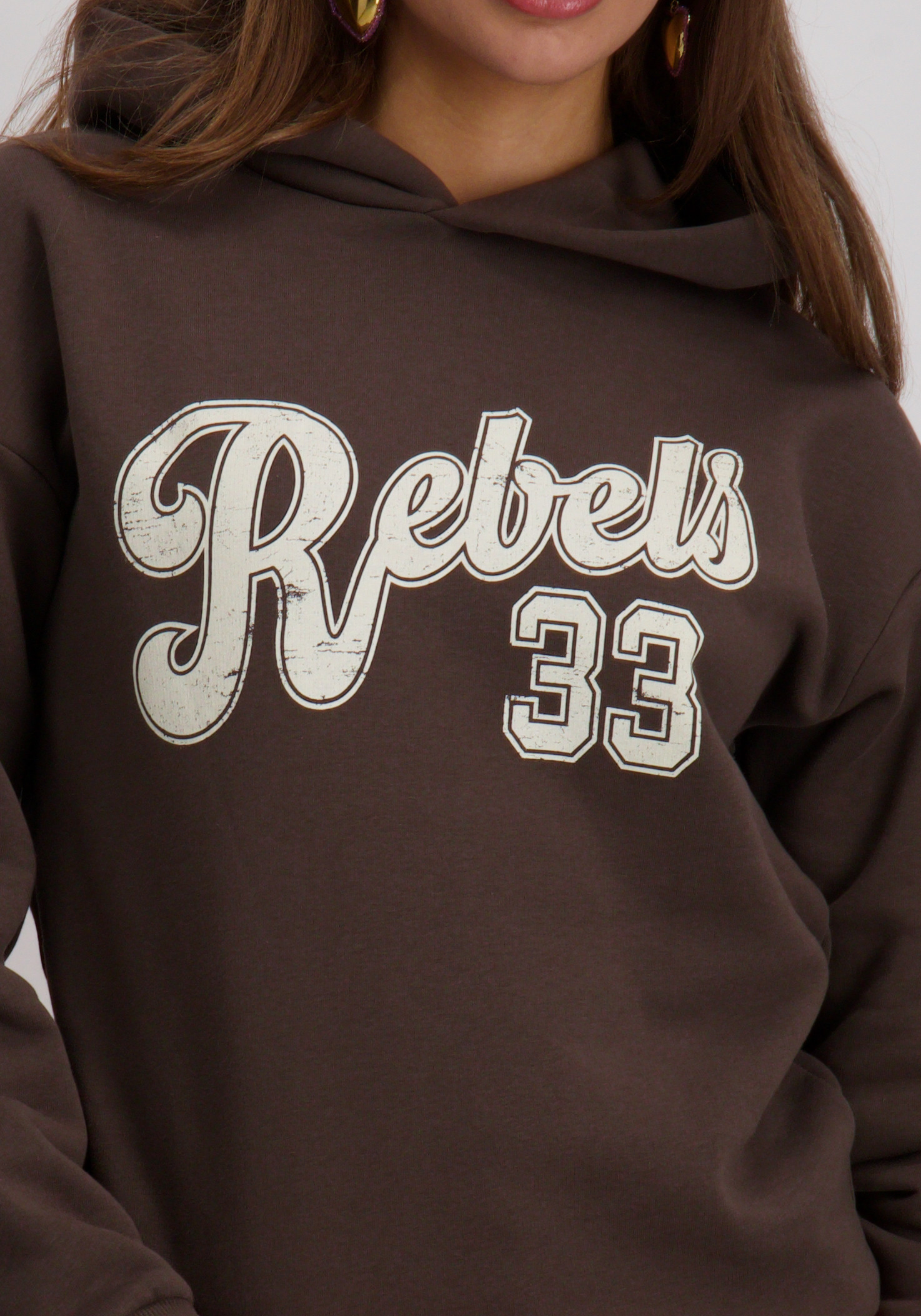 Colourful Rebel Hoodie Rebel 33 WH117180 Donker bruin