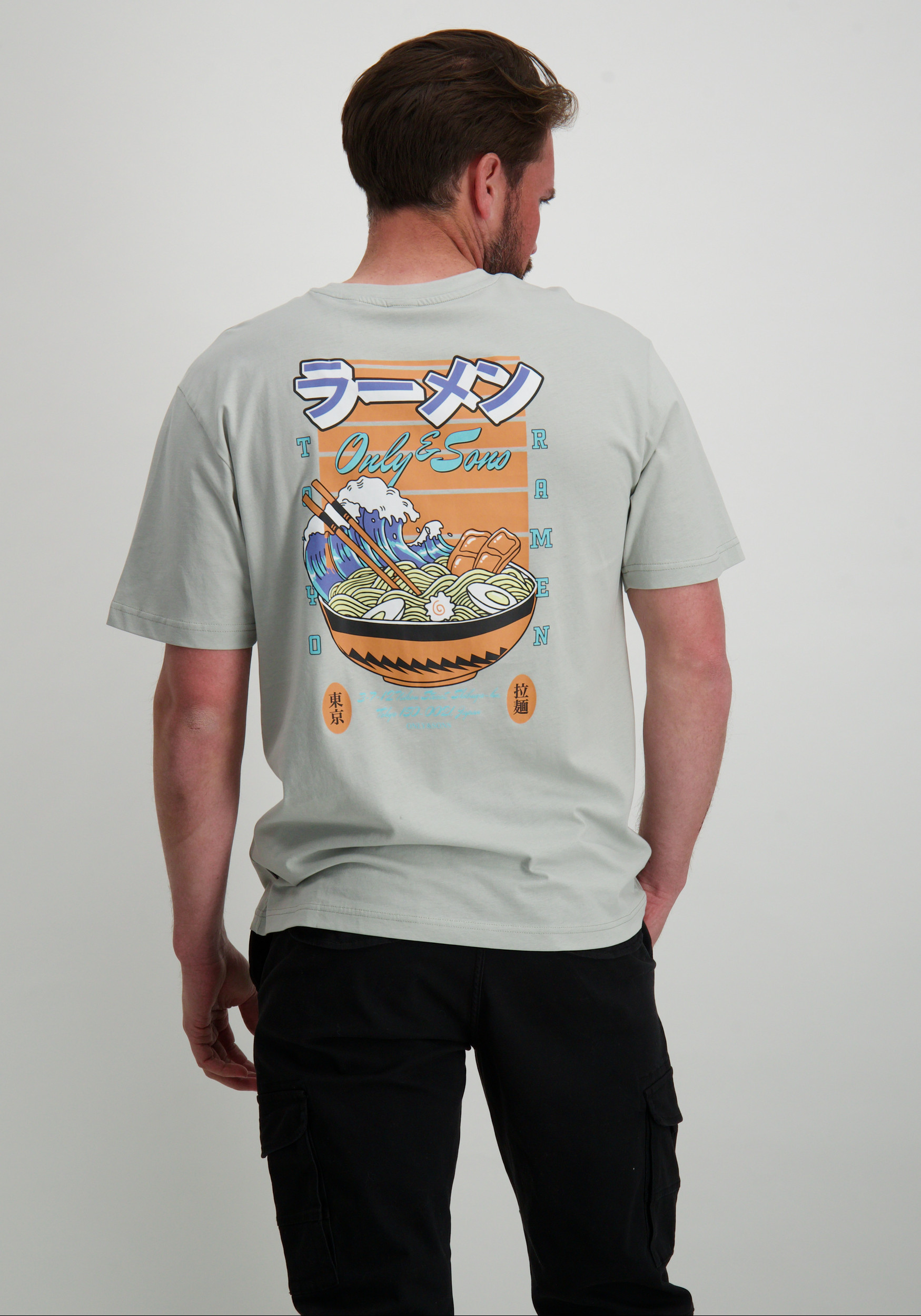 ONLY & SONS T-shirt Keane 22030973 Licht grijs