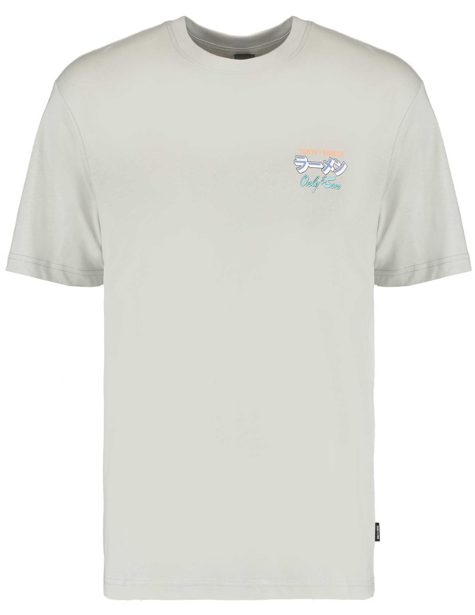 ONLY & SONS T-shirt Keane 22030973 Licht grijs