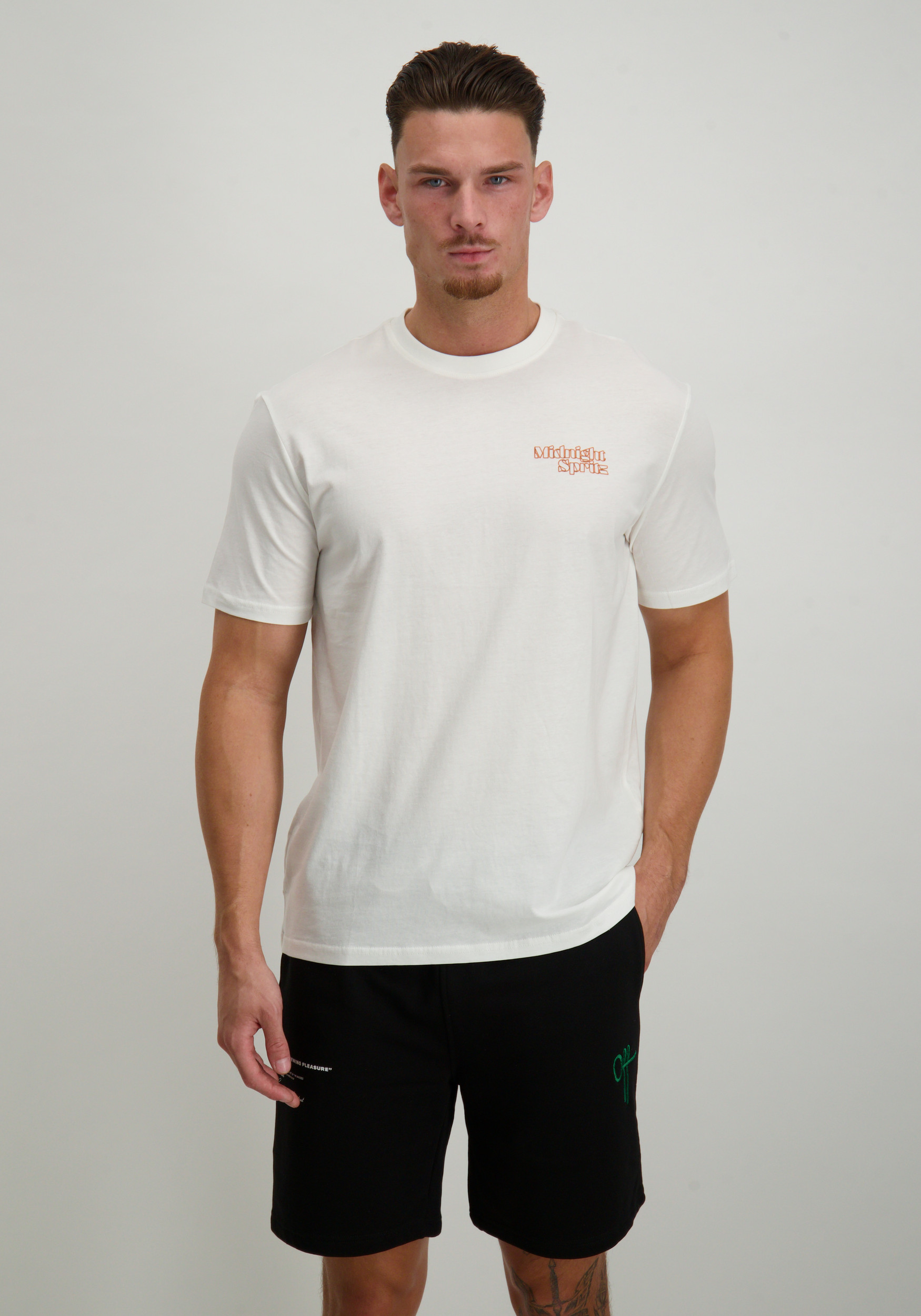 ONLY & SONS T-shirt Chris 22034333 Wit