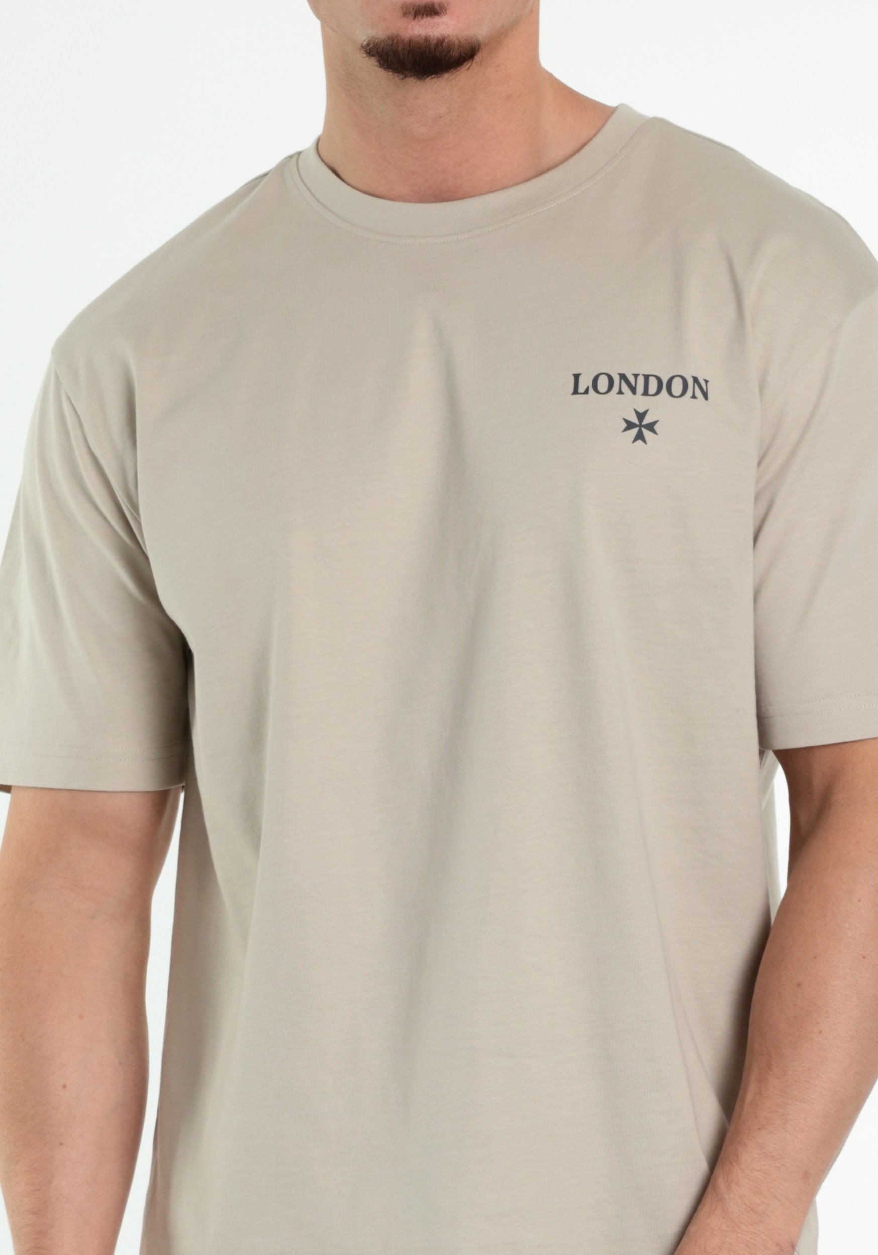 ONLY & SONS T-shirt Fred 22038318 Beige