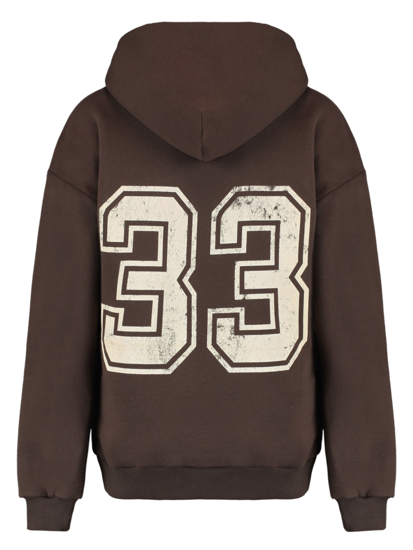 Colourful Rebel Hoodie Rebel 33 WH117180 Donker bruin