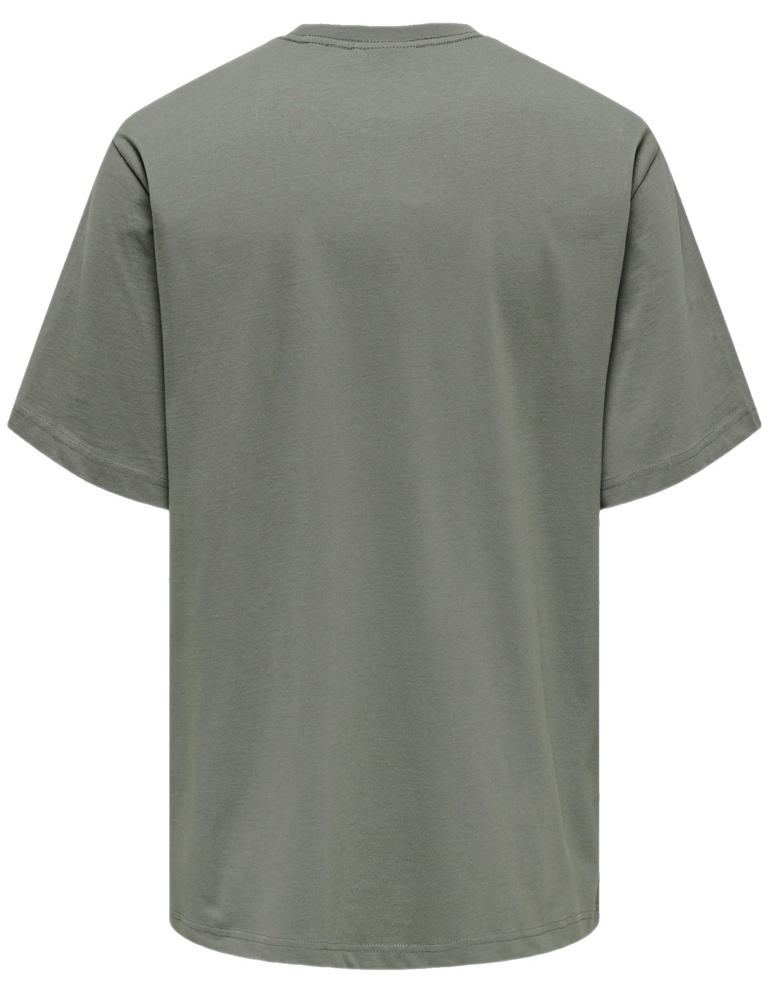 ONLY & SONS T-shirt Curated 22030925 Grijs