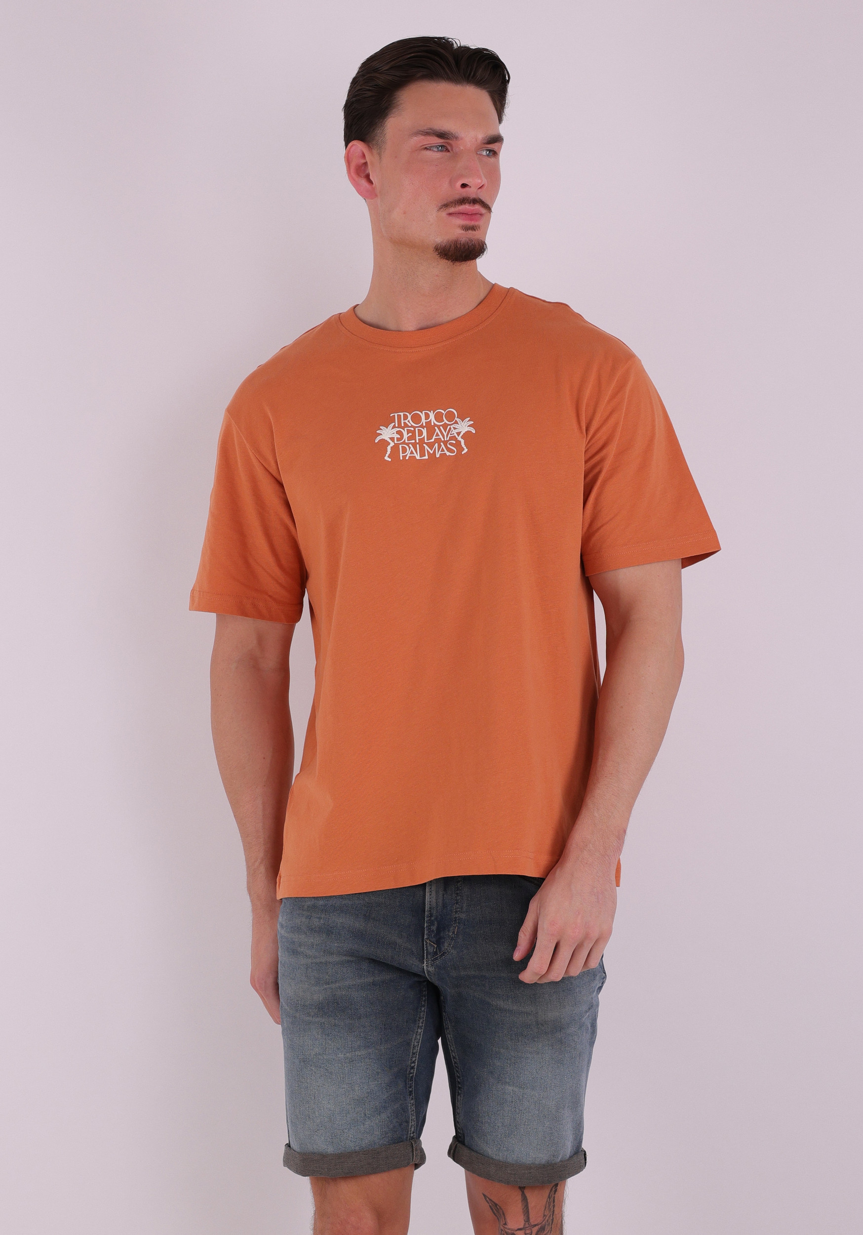 ONLY & SONS T-shirt Malik Tropico 22037482 Oranje