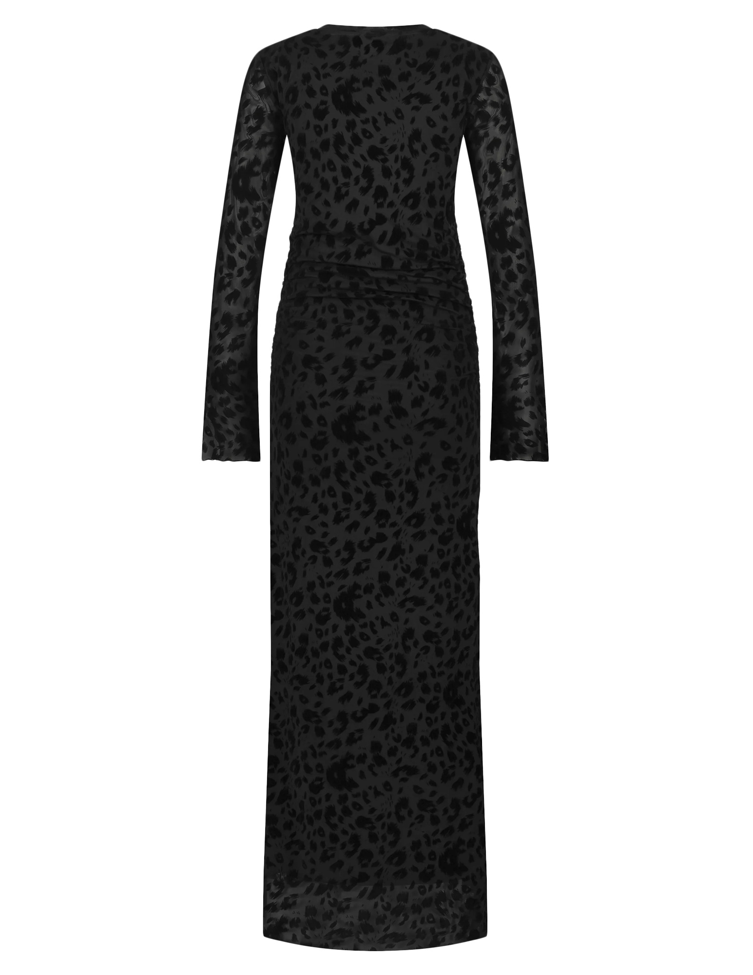 Colourful Rebel Jurk Maude leopard WD116258 Zwart