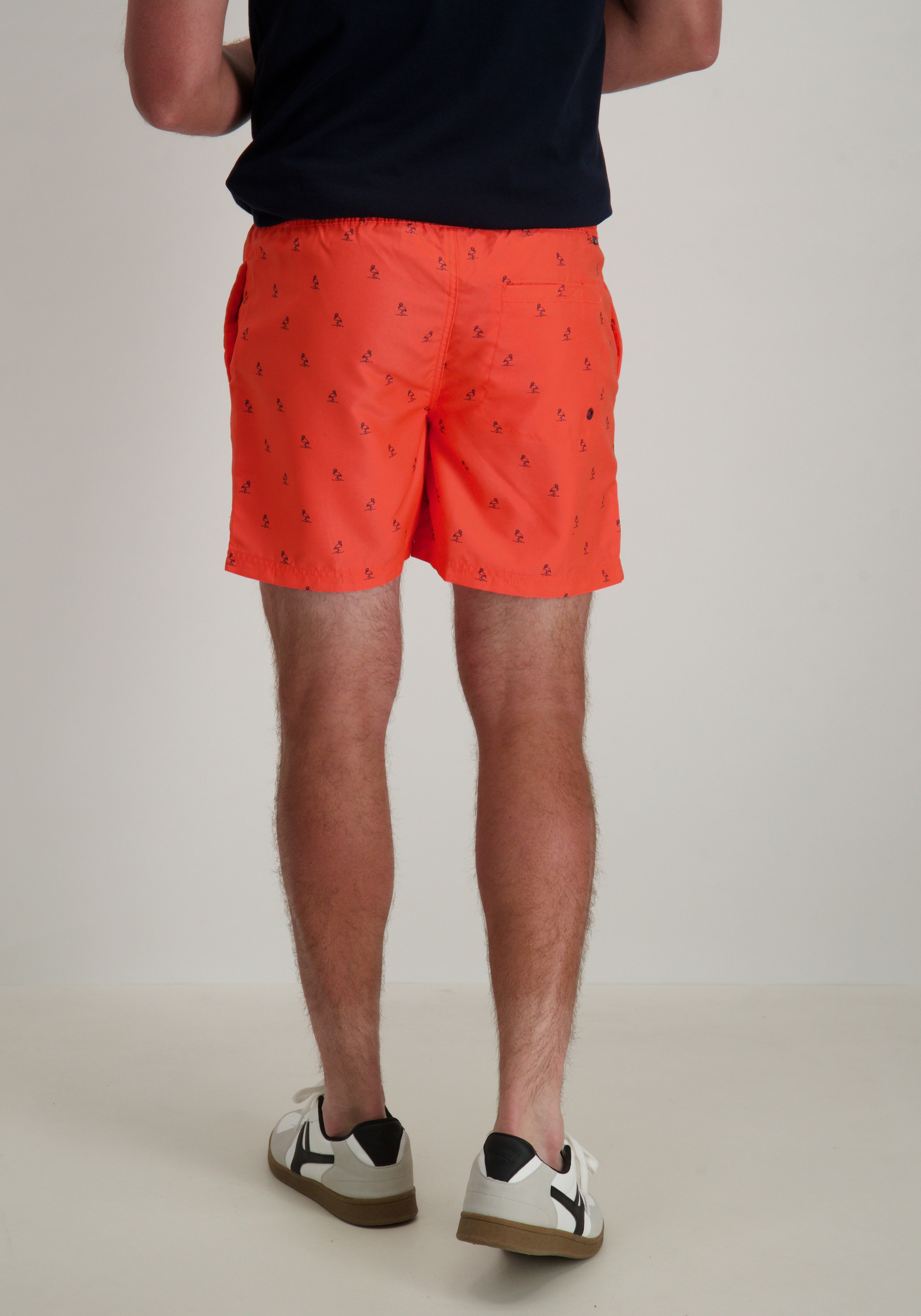 Petrol Zwemshort flamingo M-1050-SWS951 Koraal
