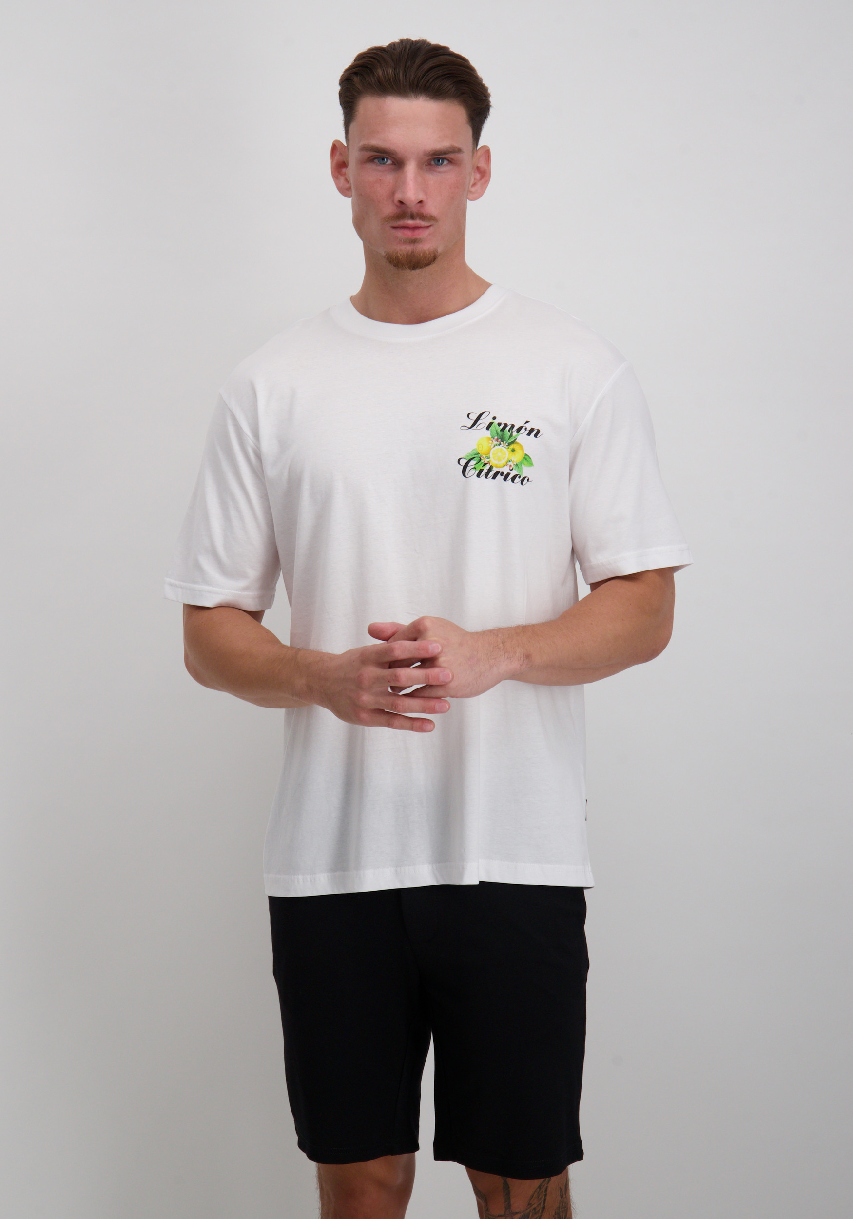 ONLY & SONS T-shirt Keane 22033620 Wolwit-ecru