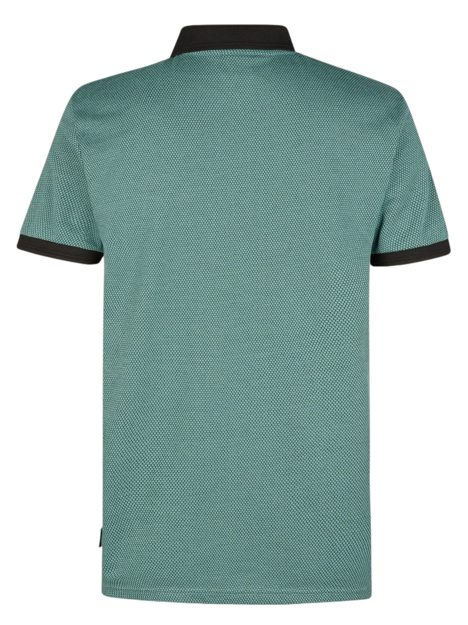 Petrol Polo M-1060-POL907 Groen