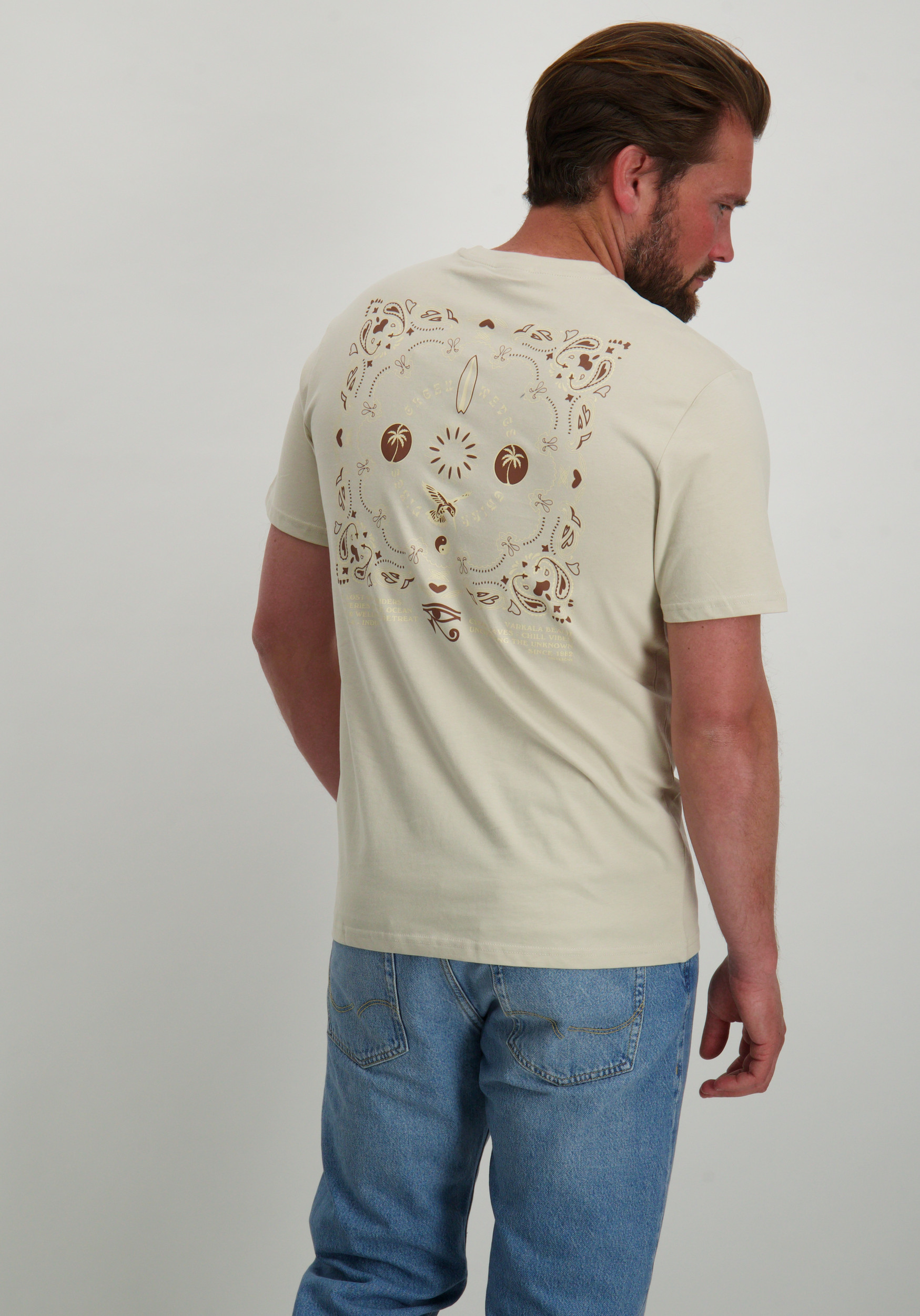 ONLY & SONS T-shirt Manuel 22035647 Zilver