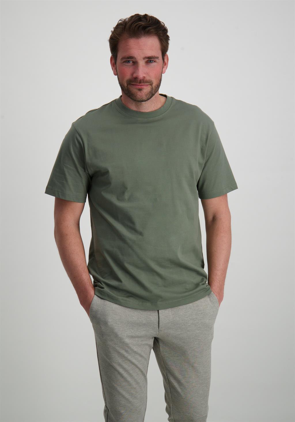 ONLY & SONS T-shirt Fred 22022532 Grijs