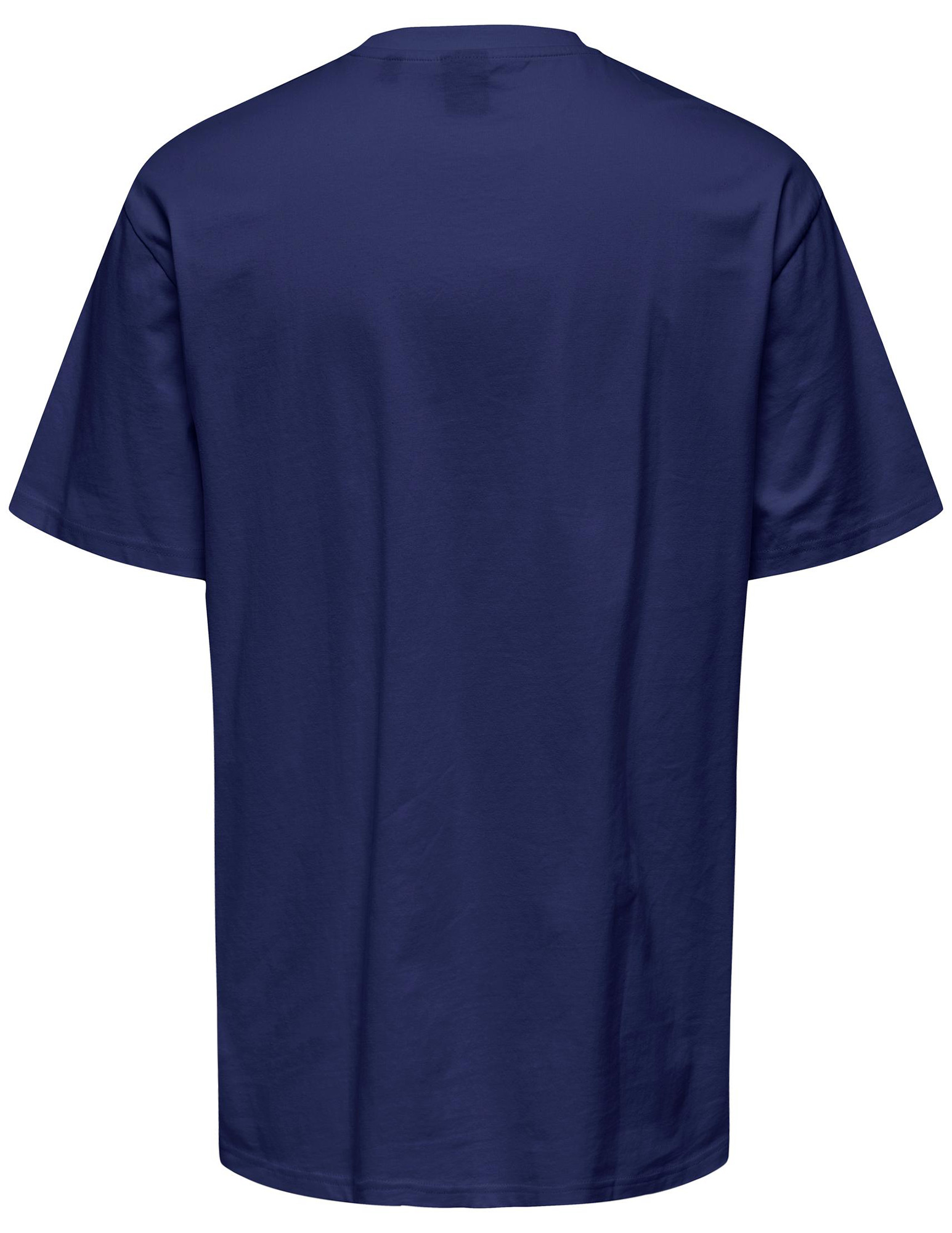 ONLY & SONS T-shirt Fred 22022532 Kobalt