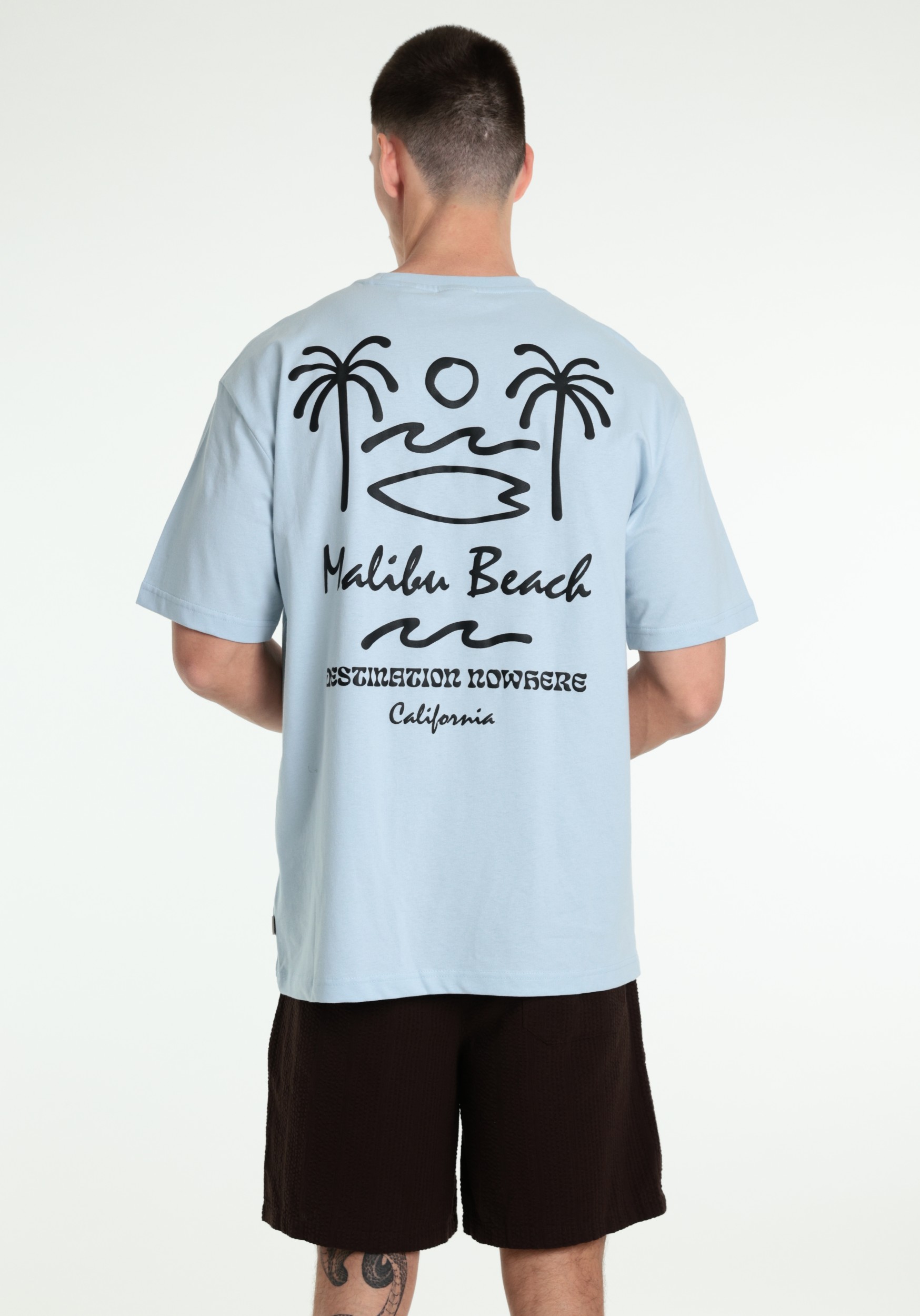 ONLY & SONS T-shirt Milo 22039621 Licht blauw