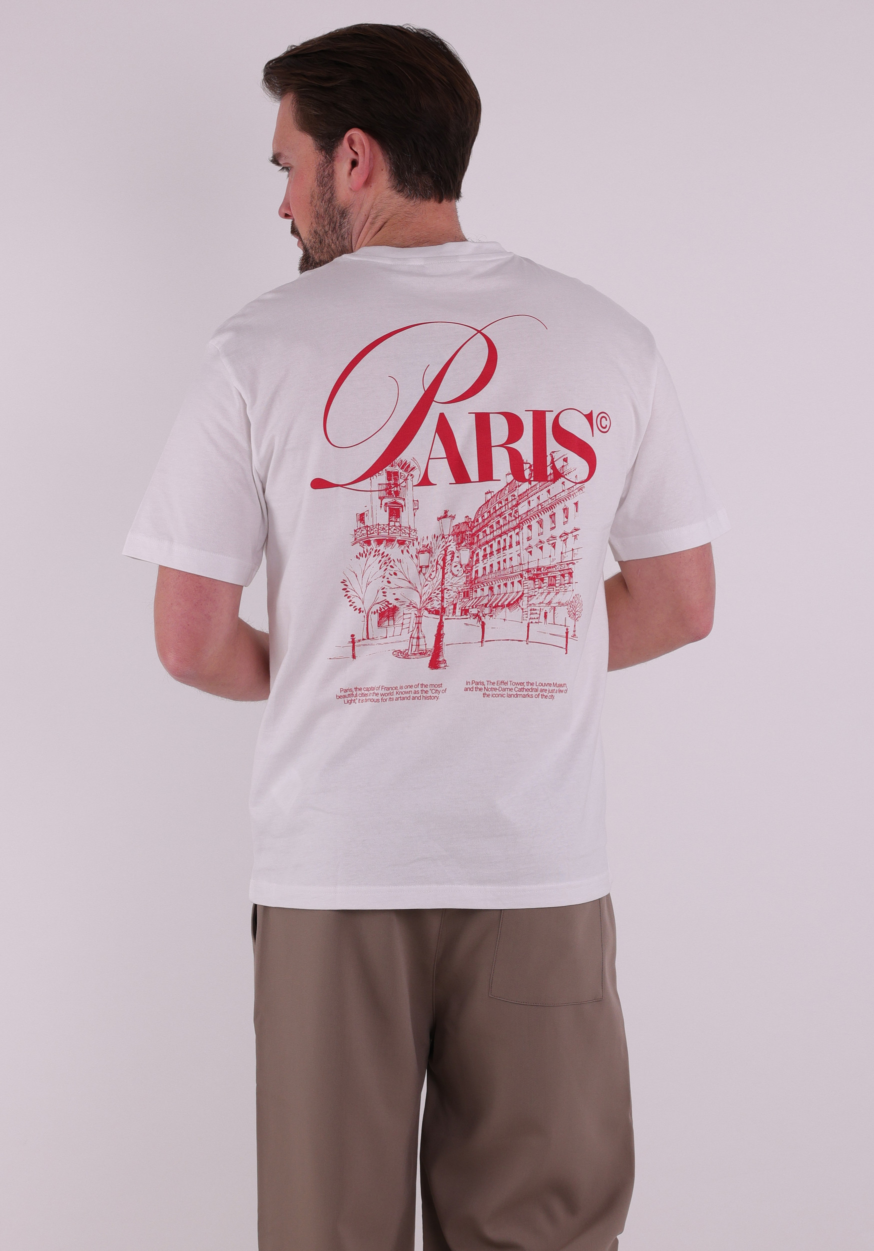 ONLY & SONS T-shirt Fred 22037685 Wit design