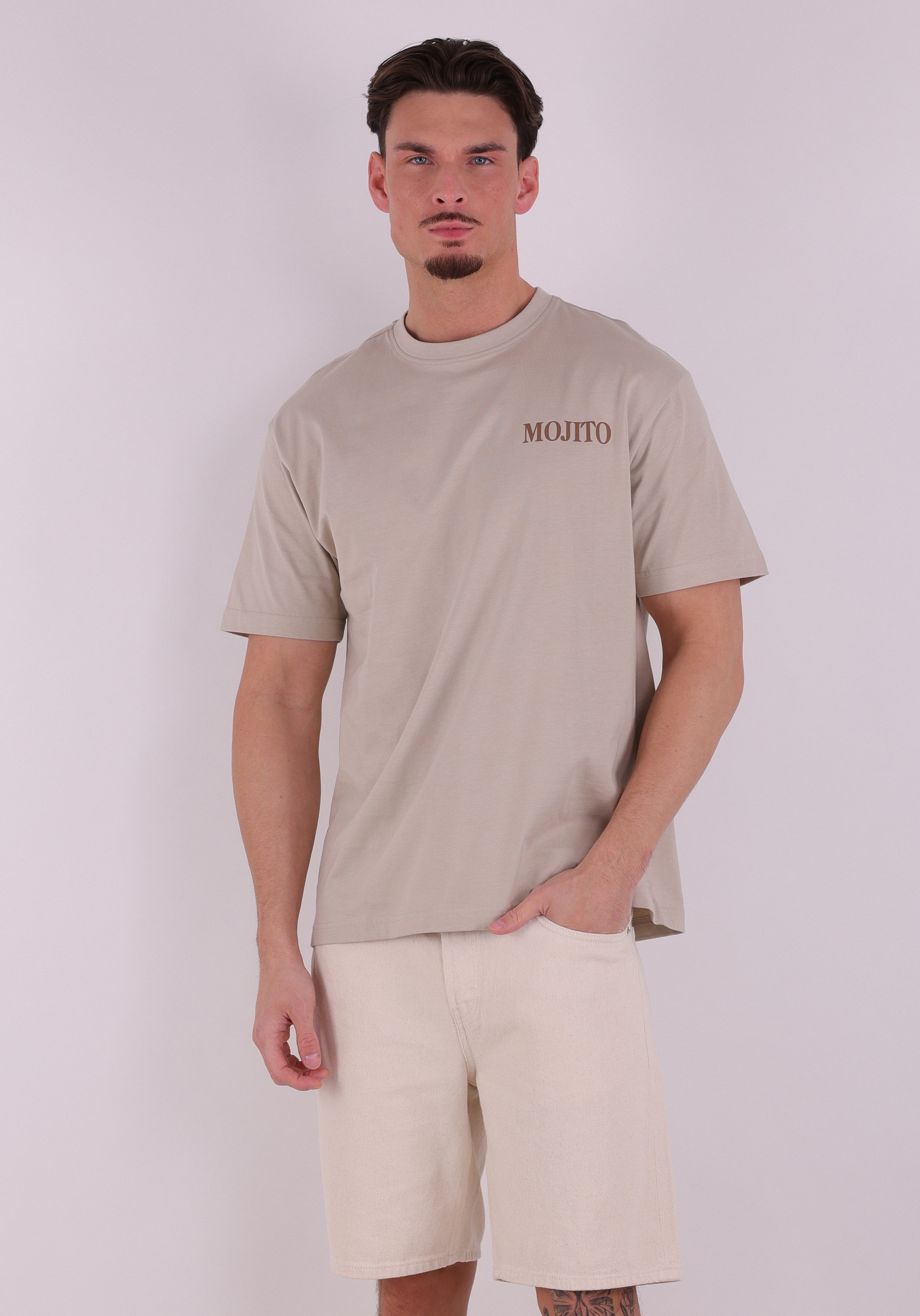 ONLY & SONS T-shirt Fred 22038836 Zand