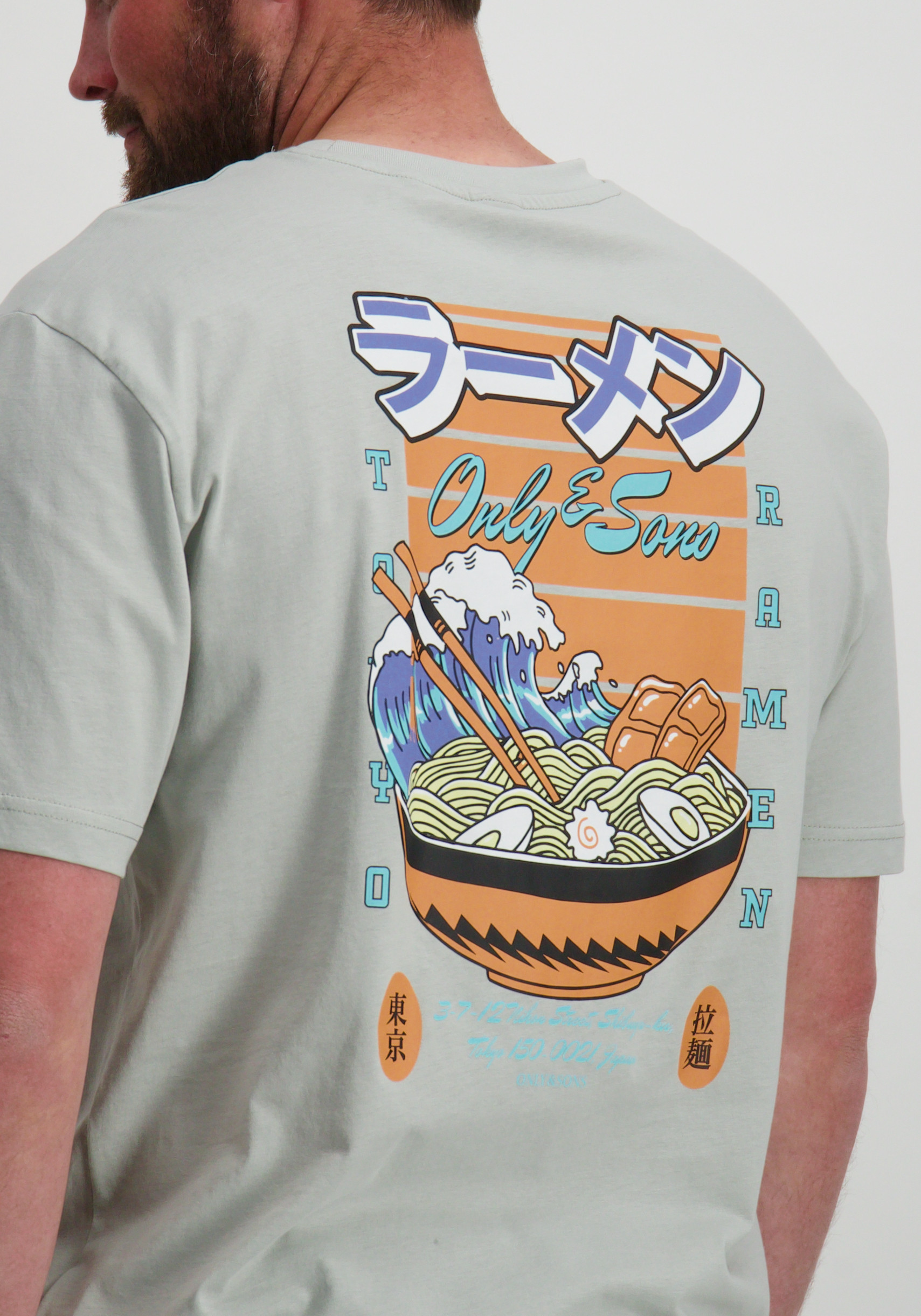 ONLY & SONS T-shirt Keane 22030973 Licht grijs