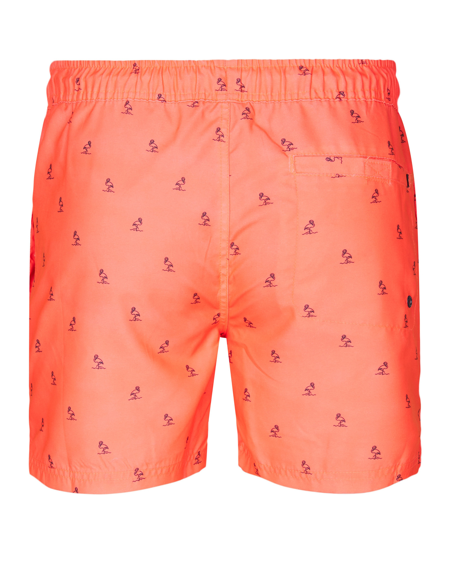 Petrol Zwemshort flamingo M-1050-SWS951 Koraal