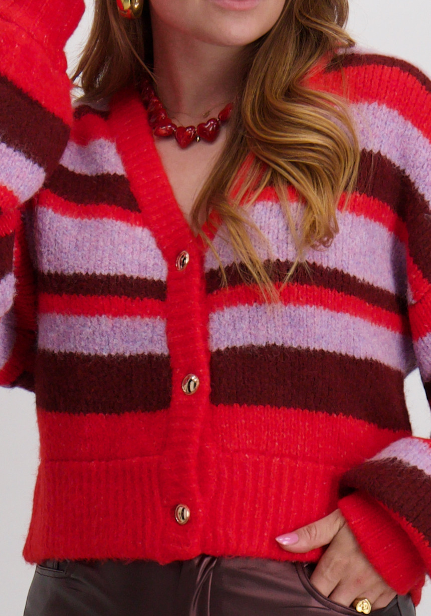 Harper & Yve Vest Noor AW25W800 Multi