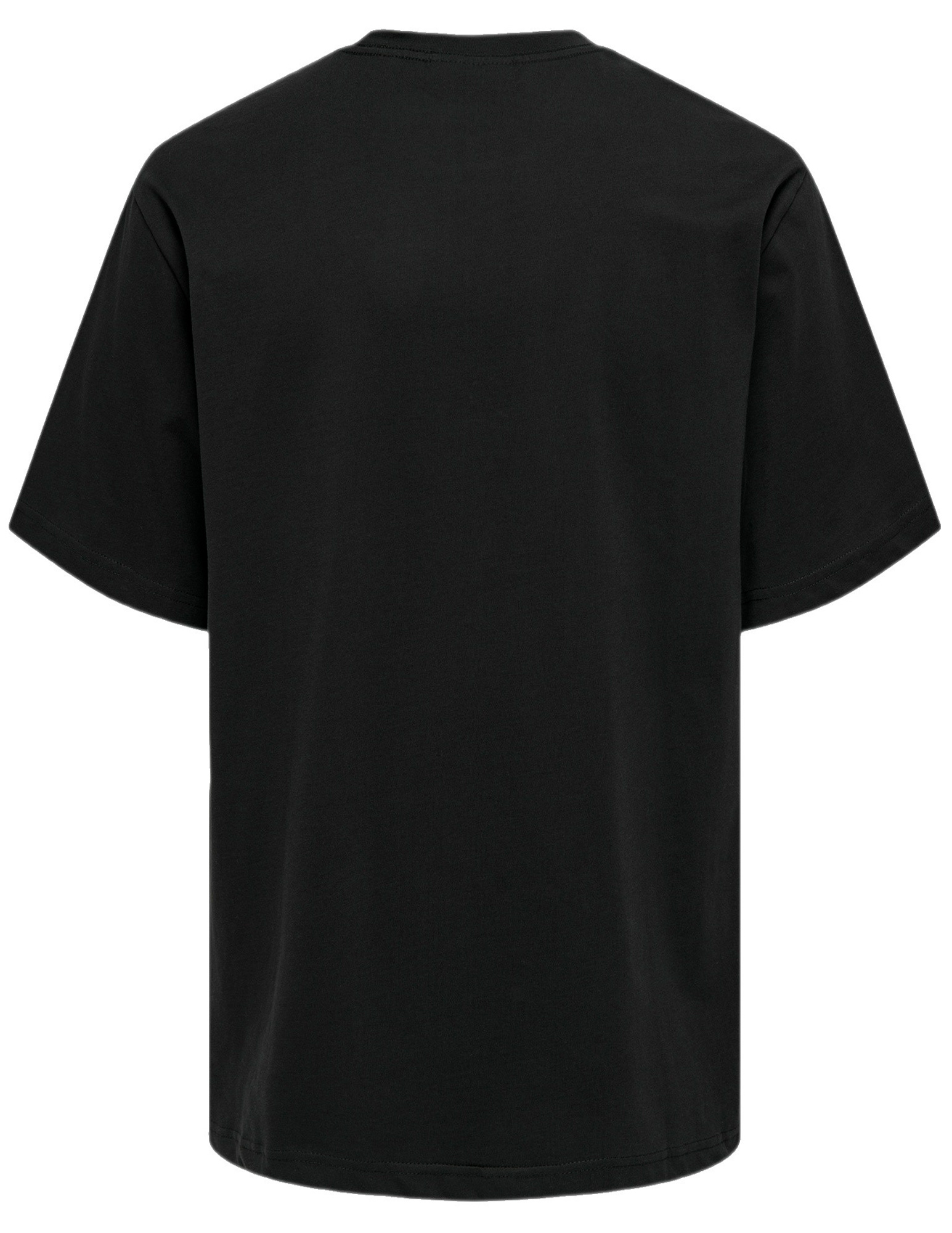 ONLY & SONS T-shirt Curated 22030925 Zwart