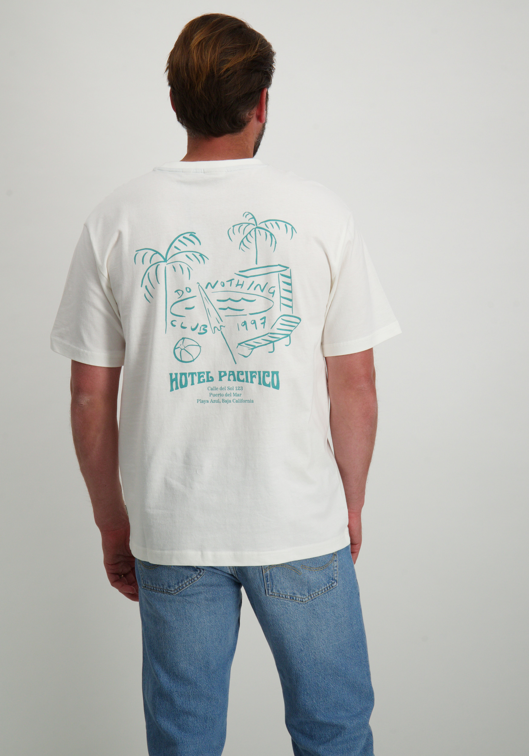 ONLY & SONS T-shirt Milo 22035271 Wolwit-ecru